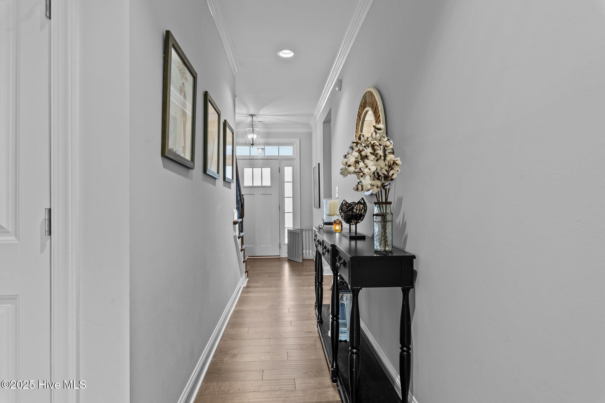 249 Brightleaf Drive