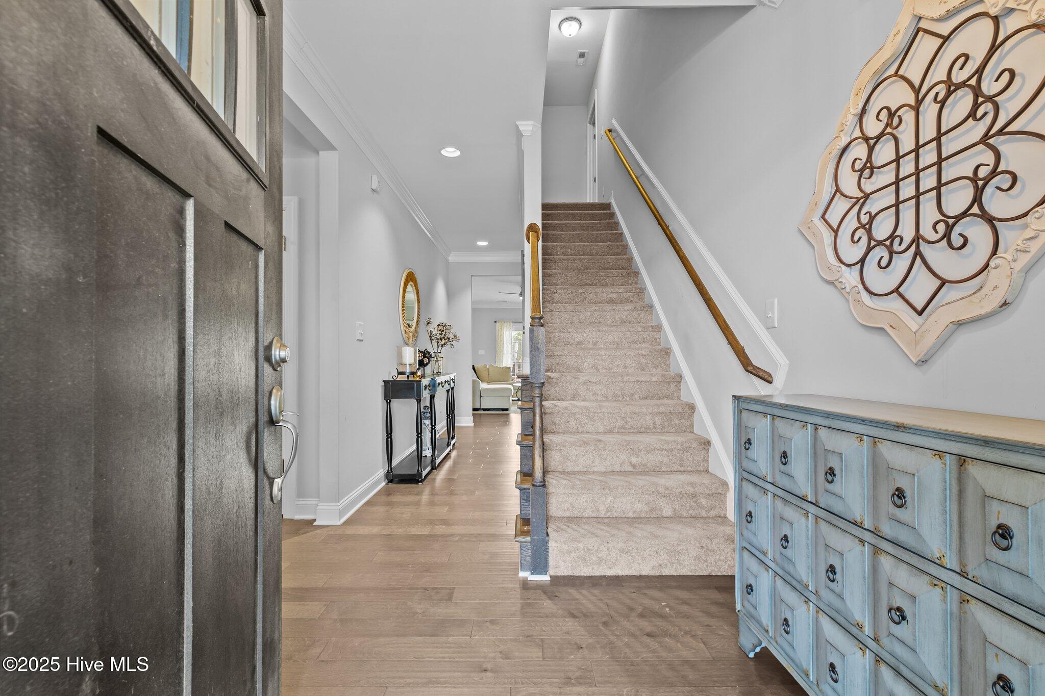 249 Brightleaf Drive