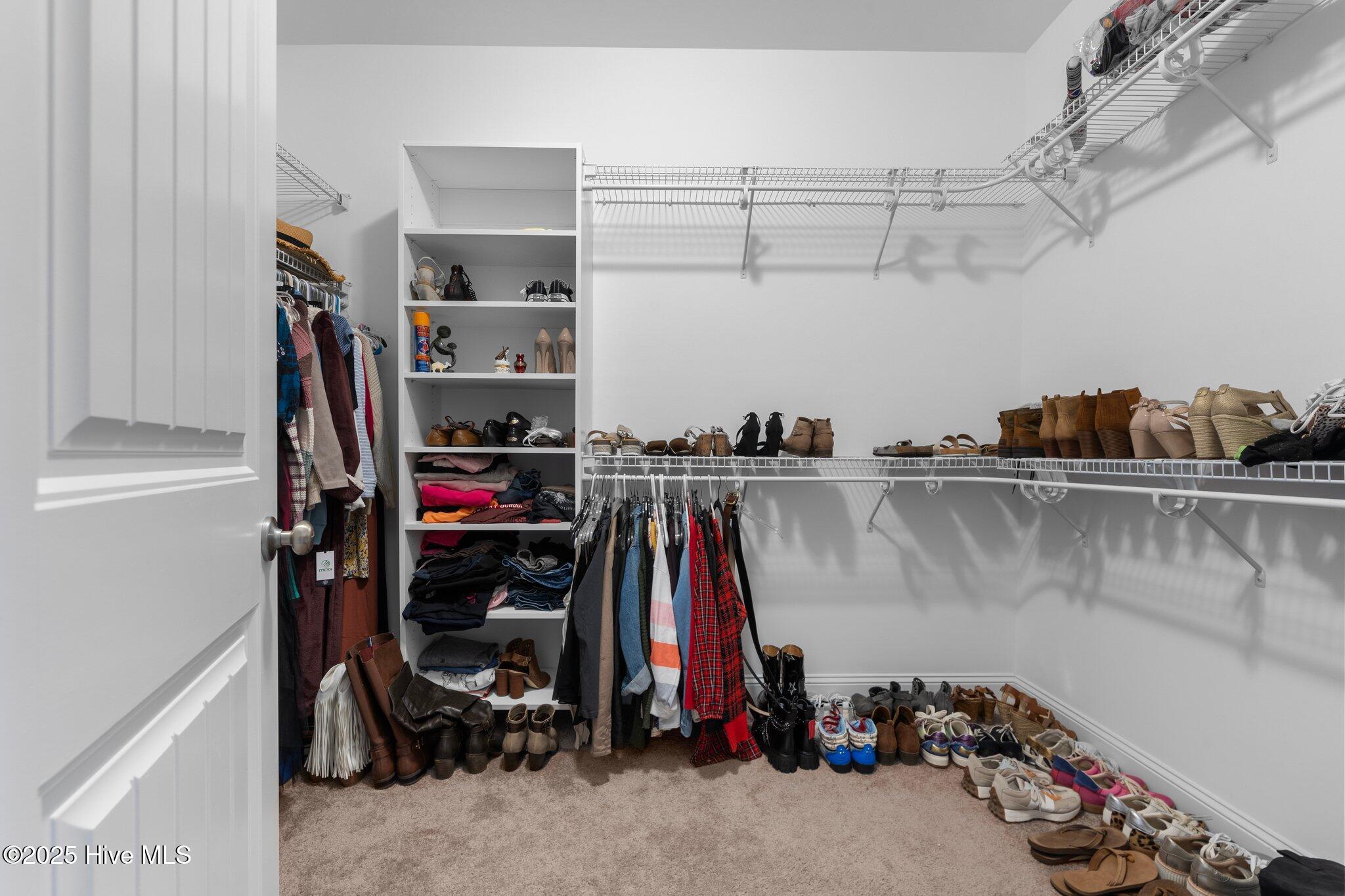 249 Brightleaf Drive