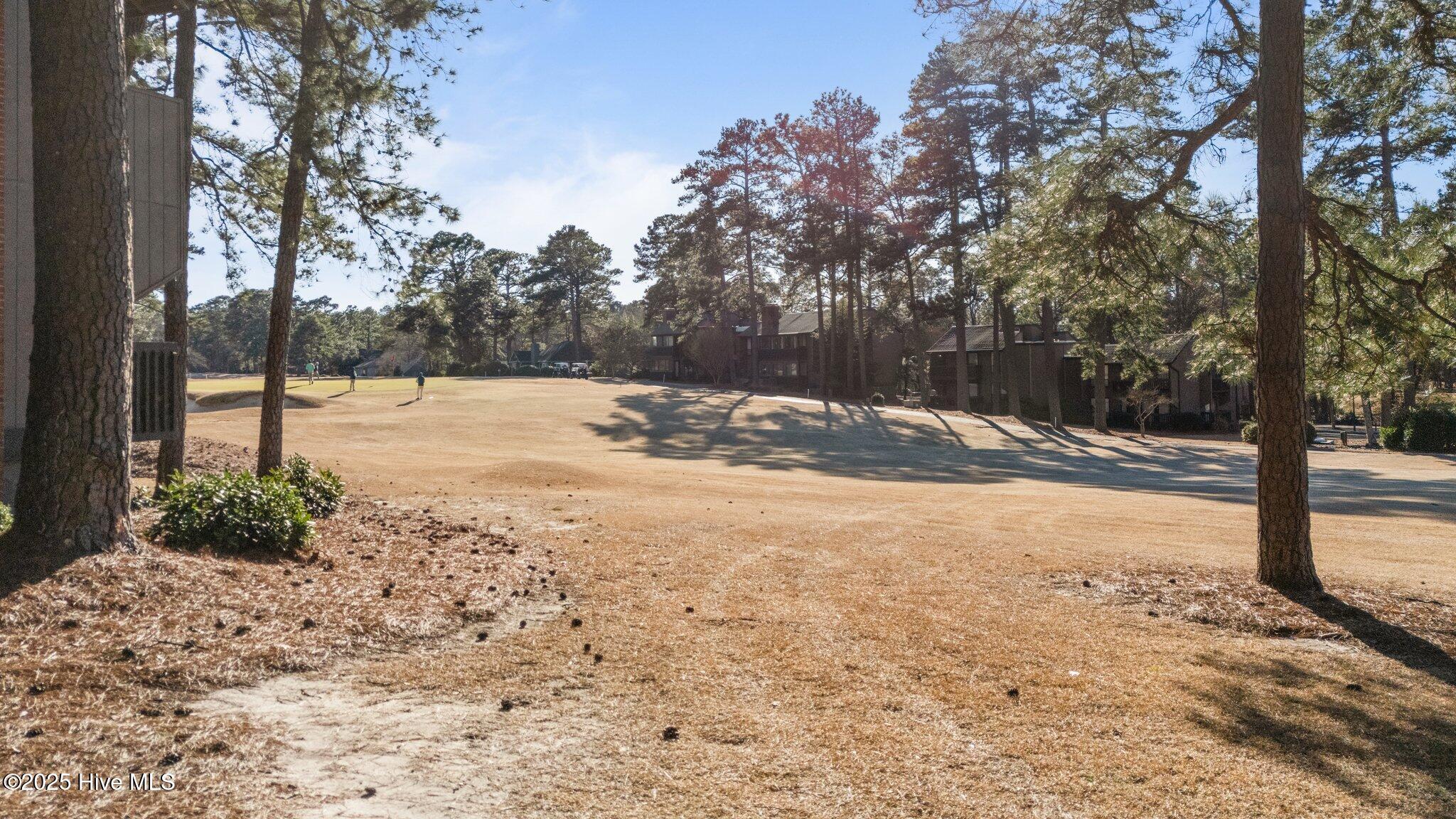 5 Pine Tree Road # 116