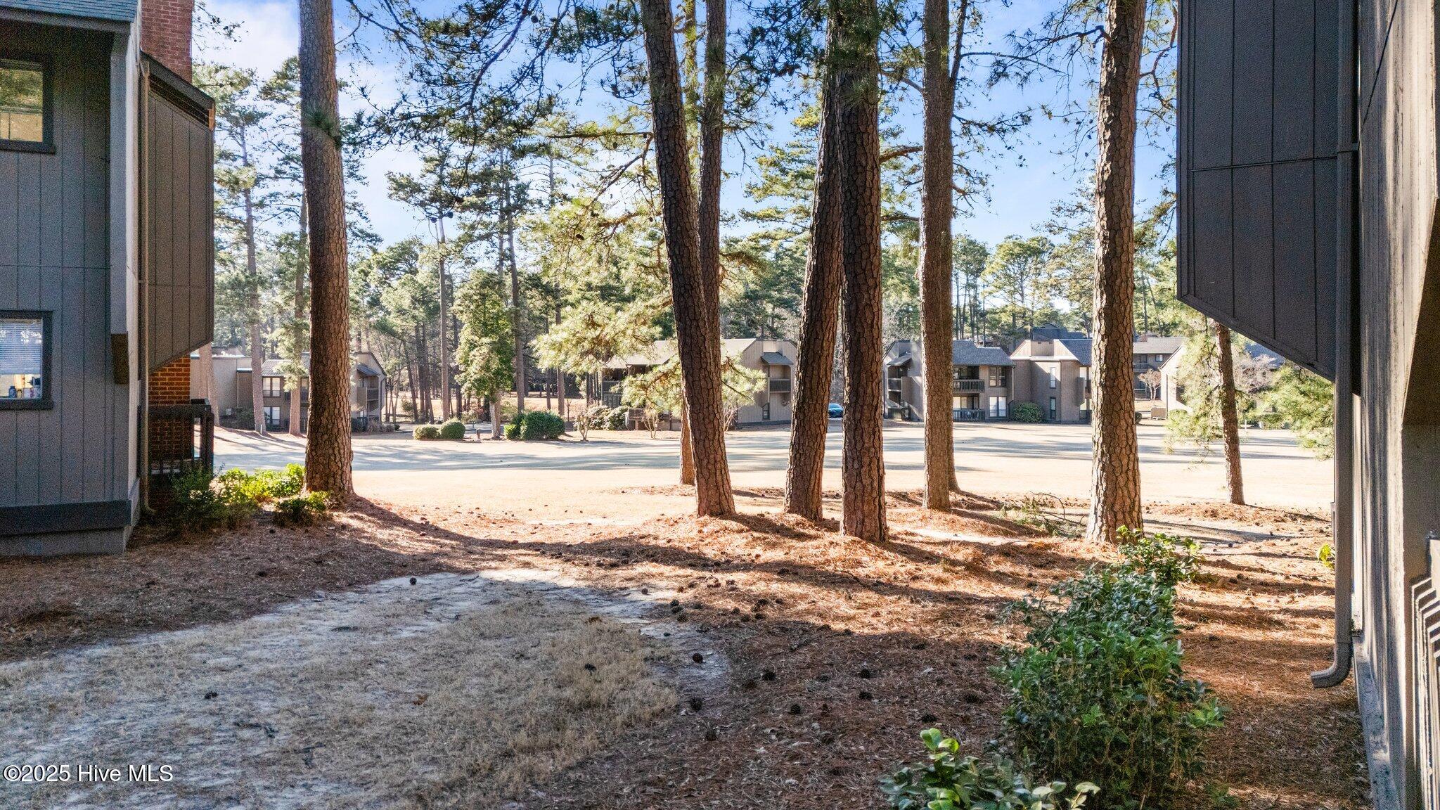 5 Pine Tree Road # 116