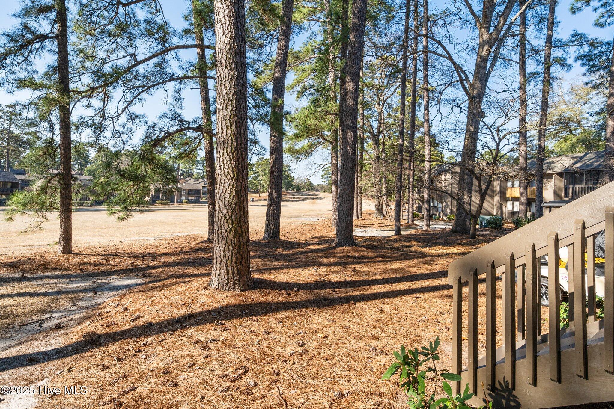 5 Pine Tree Road # 116