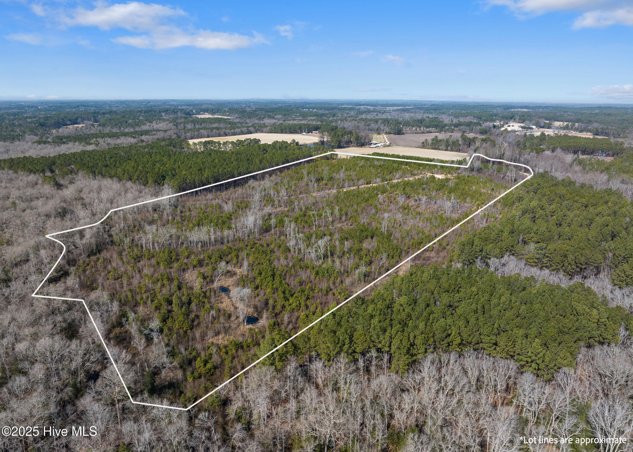 Tbd 3 Misty Morning Trail