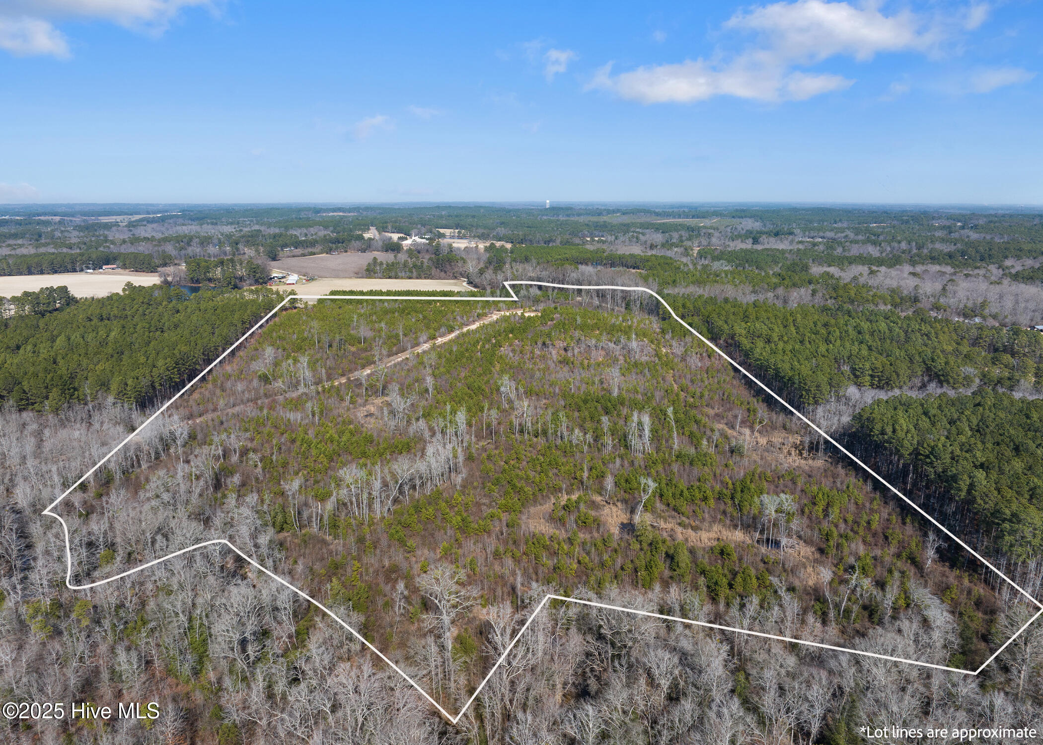 Tbd 3 Misty Morning Trail