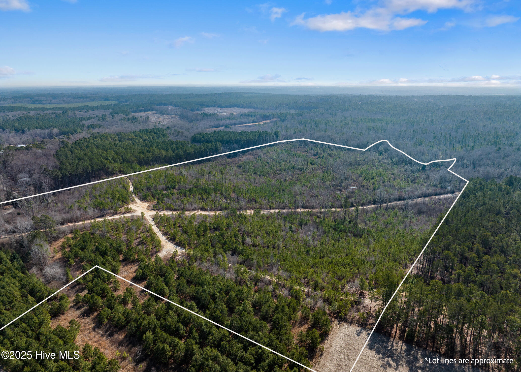 Tbd 3 Misty Morning Trail