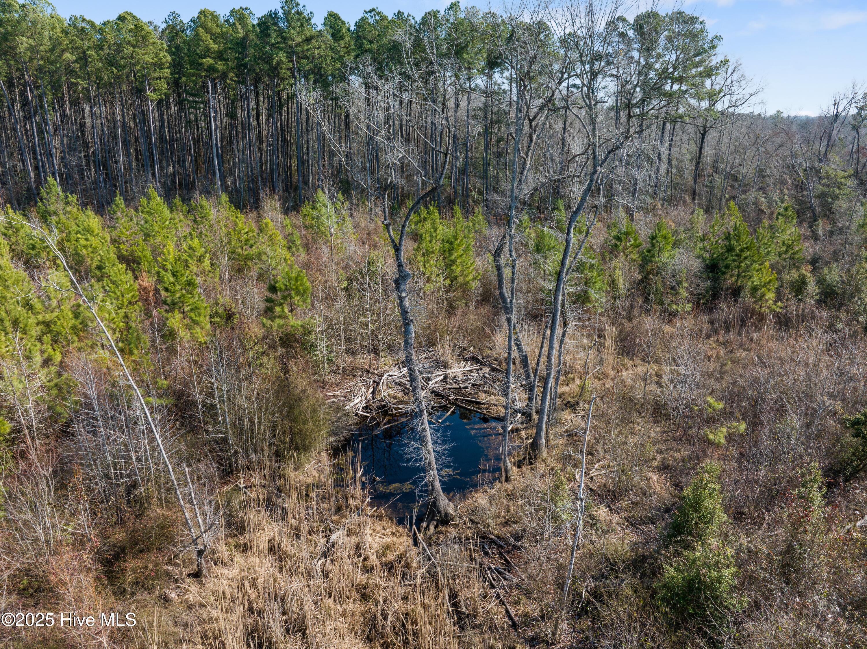 Tbd 3 Misty Morning Trail