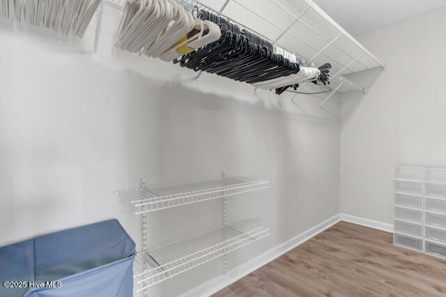 6200 Black Willow Drive