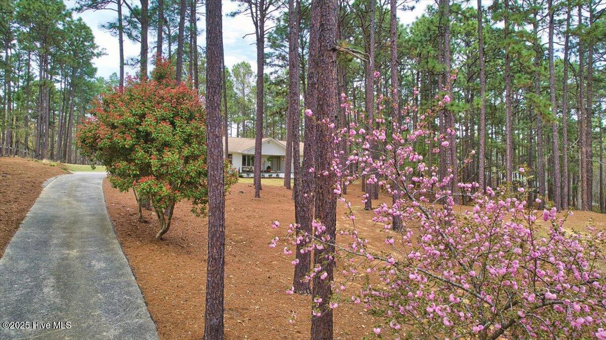 409 Stornoway Drive