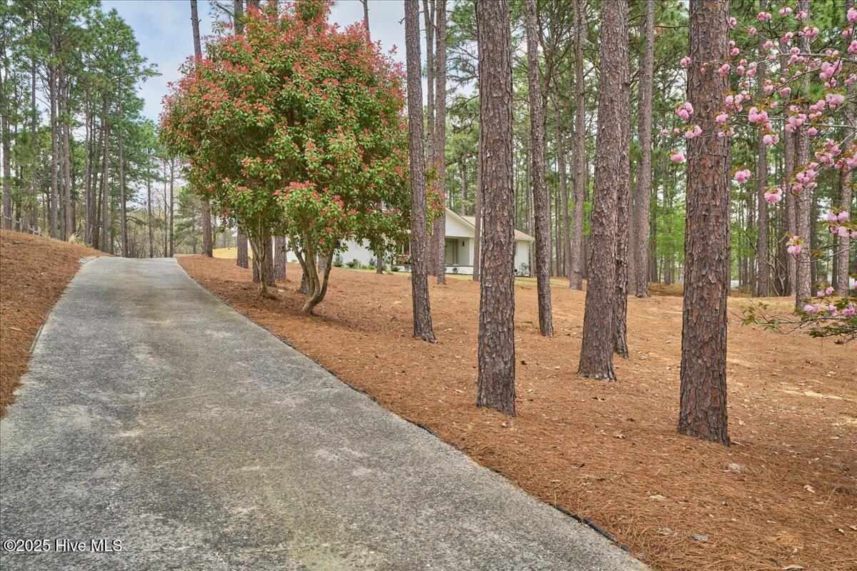 409 Stornoway Drive