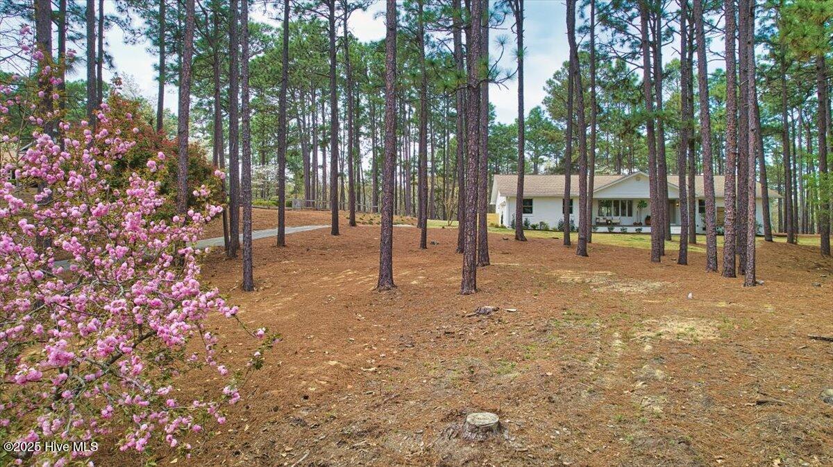 409 Stornoway Drive