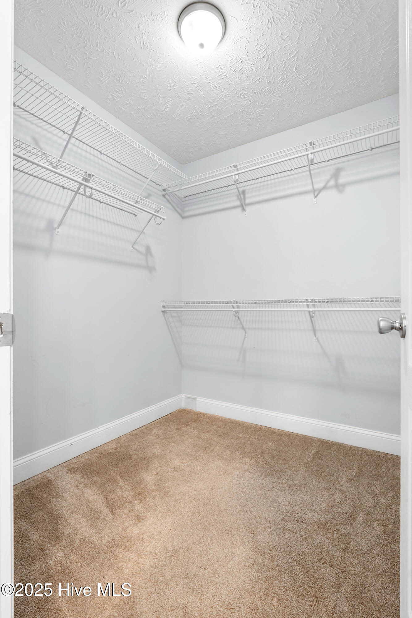 336 Livingston Drive