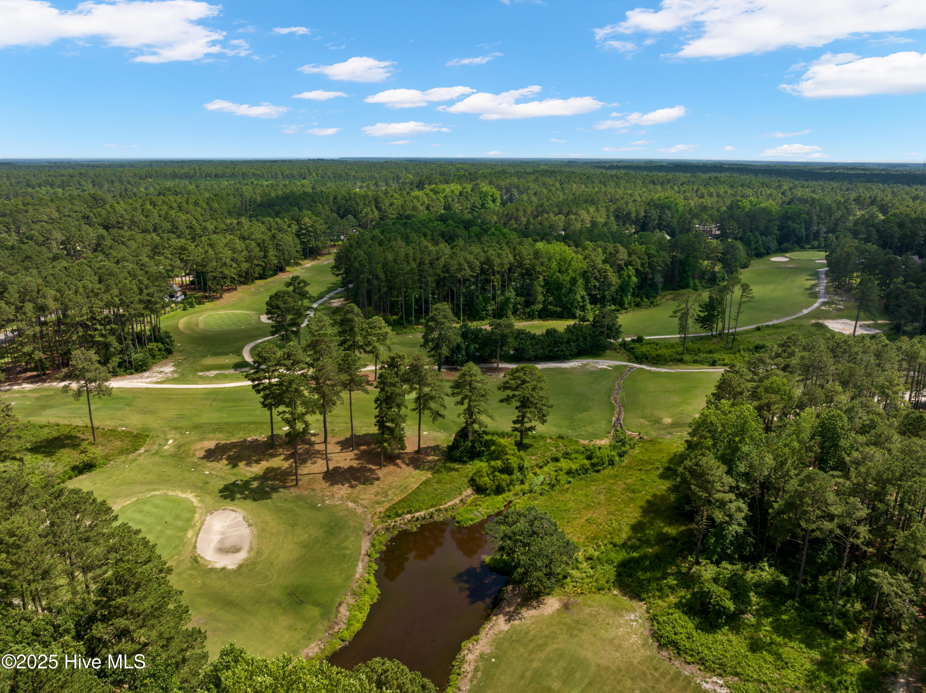 16661 Forest Fern Court