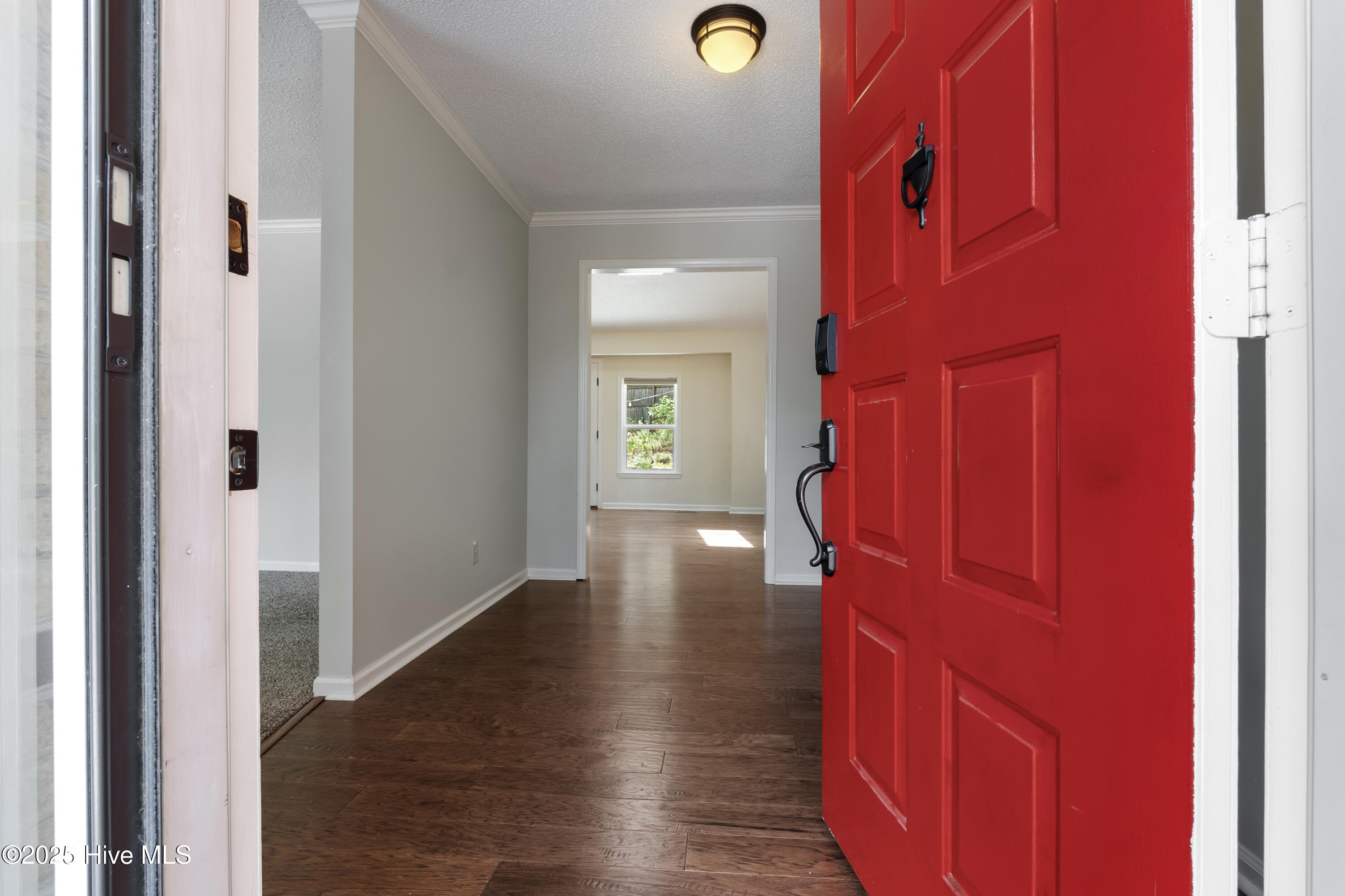 135 Lost Tree Place