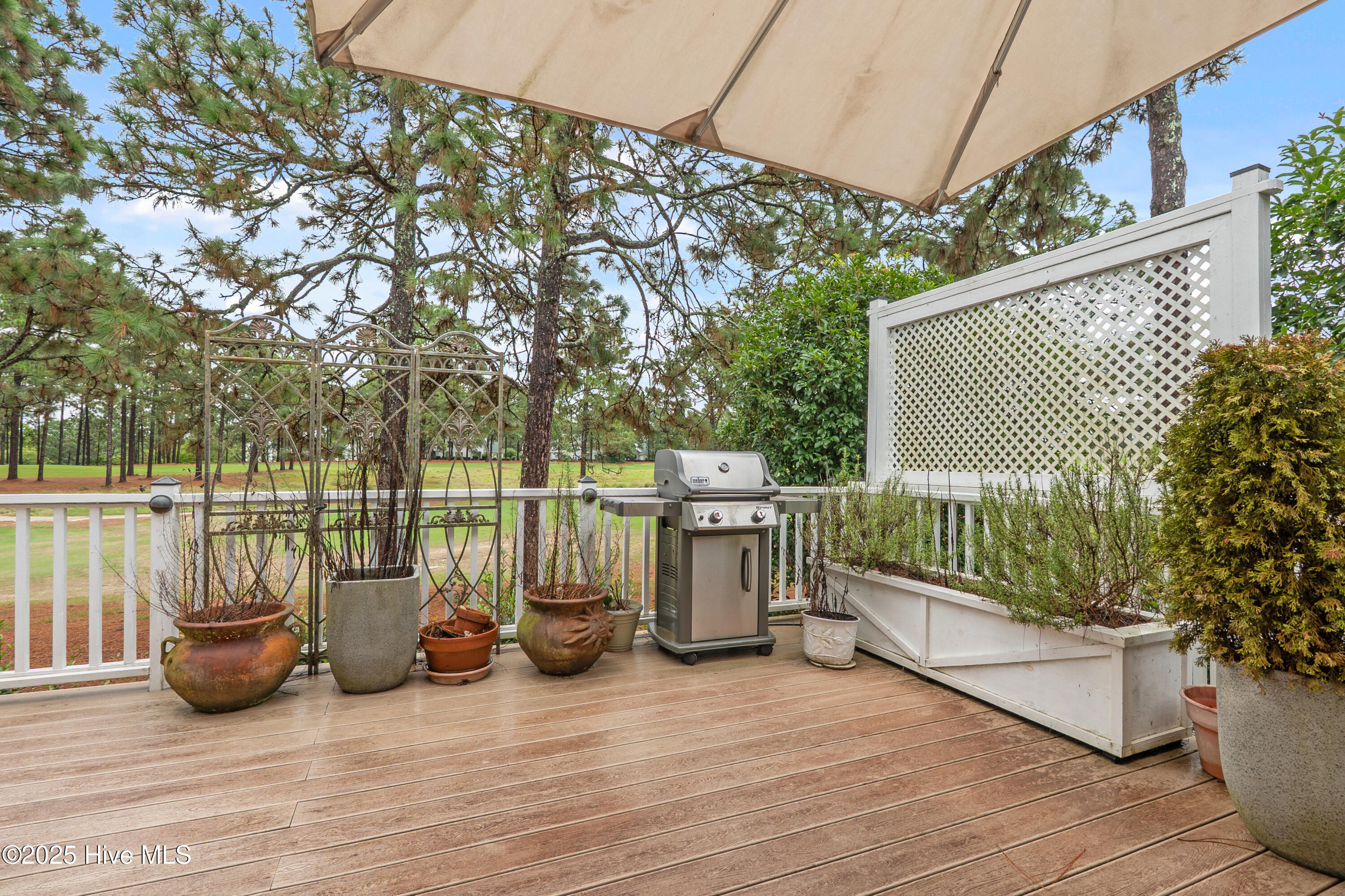 39 Paddock Lane