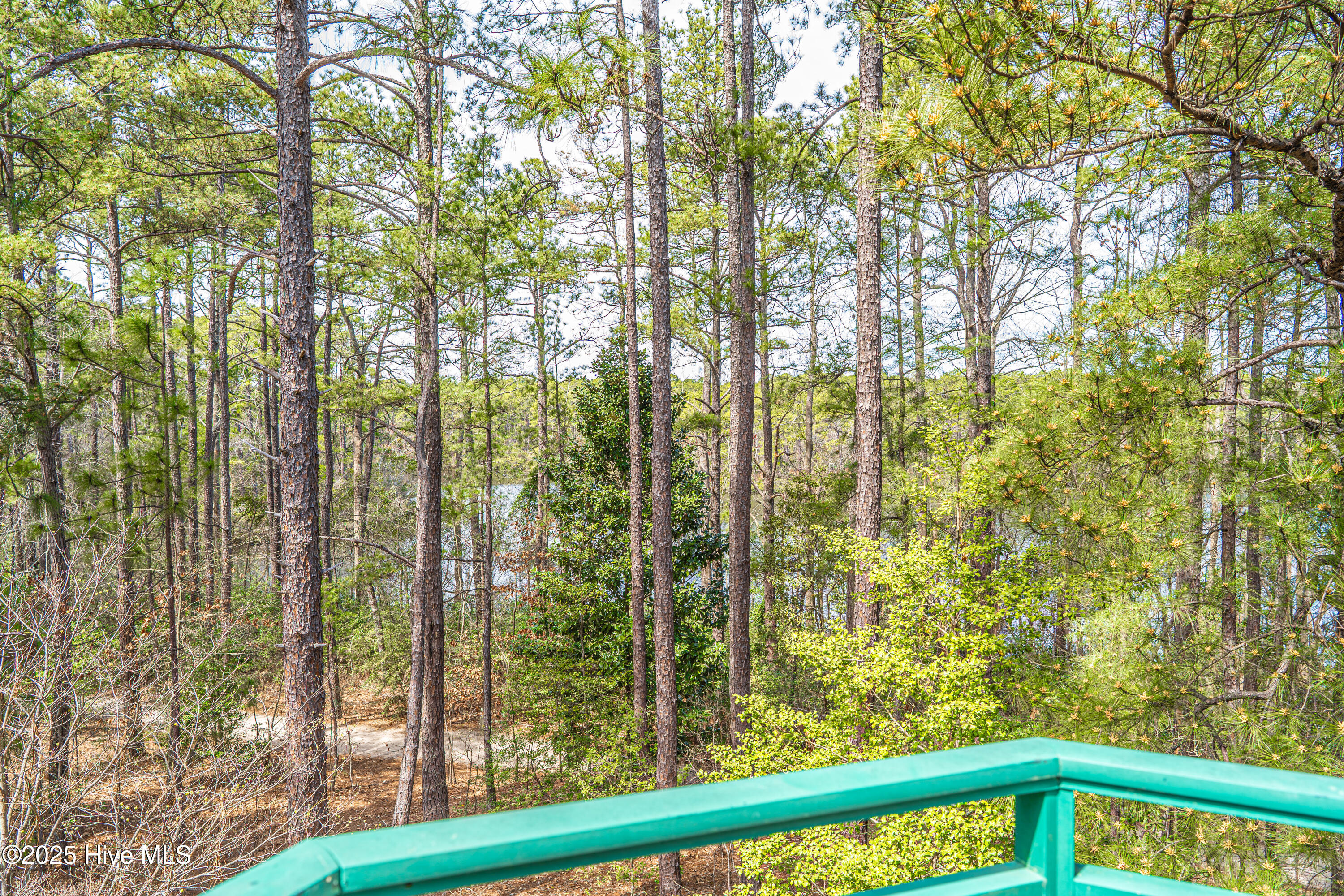 1733 Woodbrooke Drive