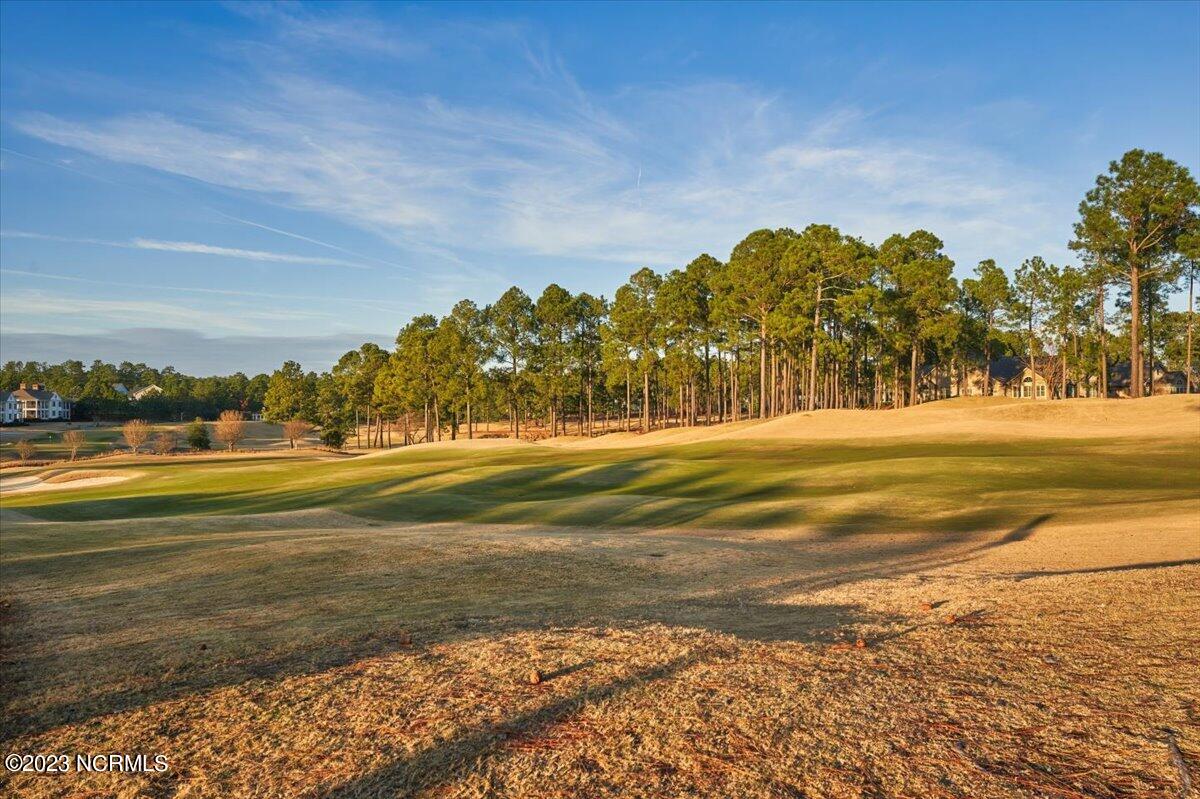 204 Holly Springs Court