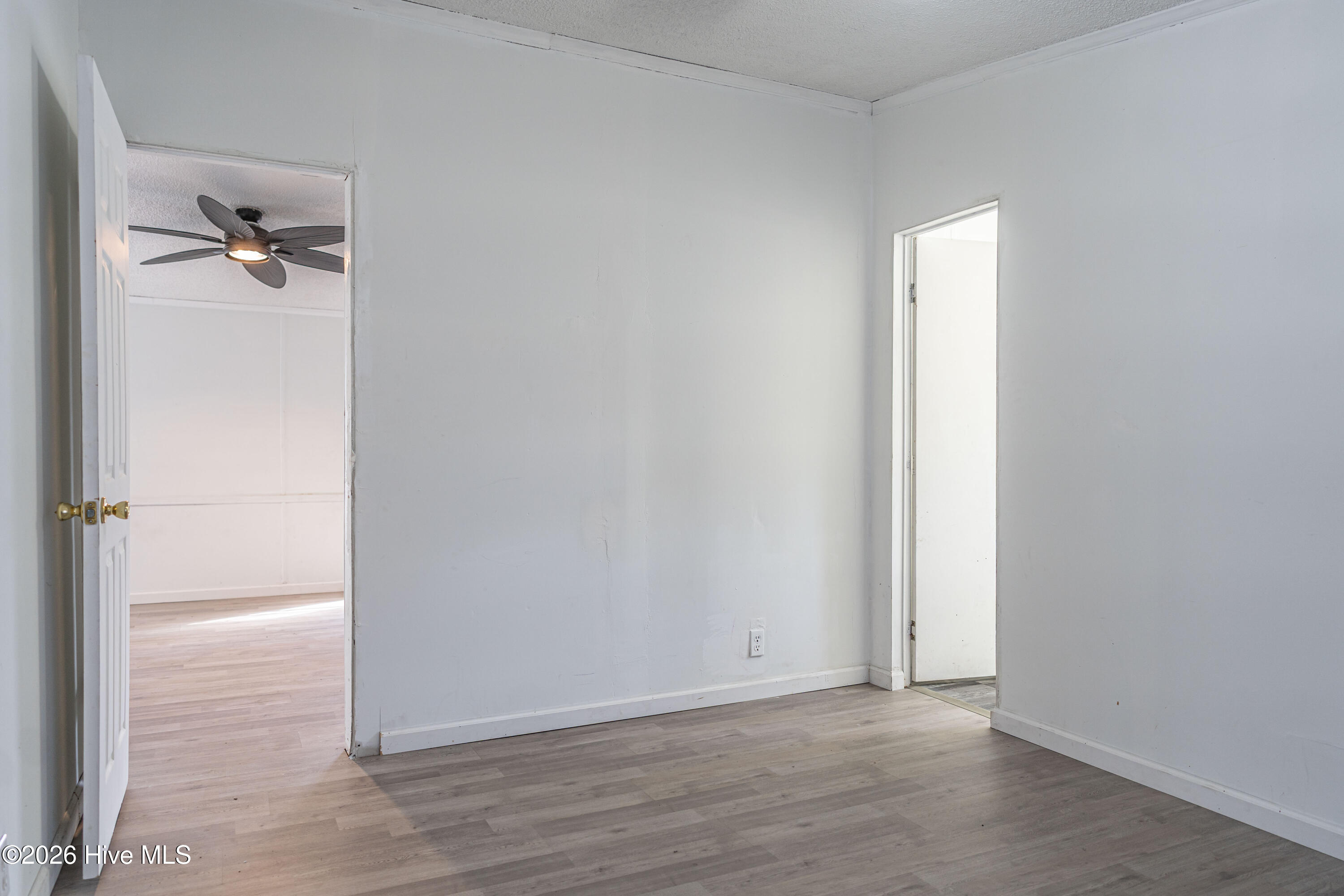 123 Hailey Ames Street