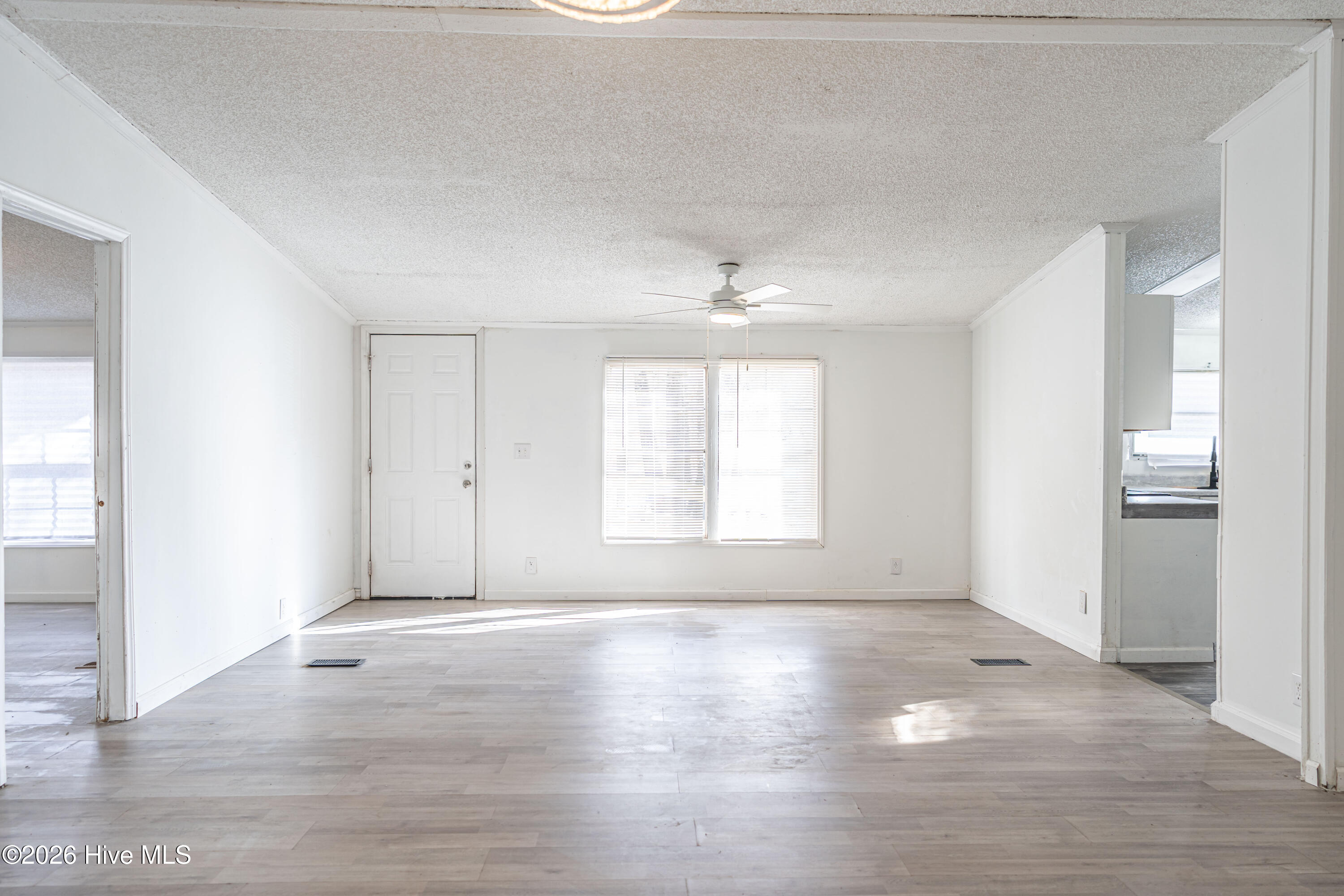 123 Hailey Ames Street