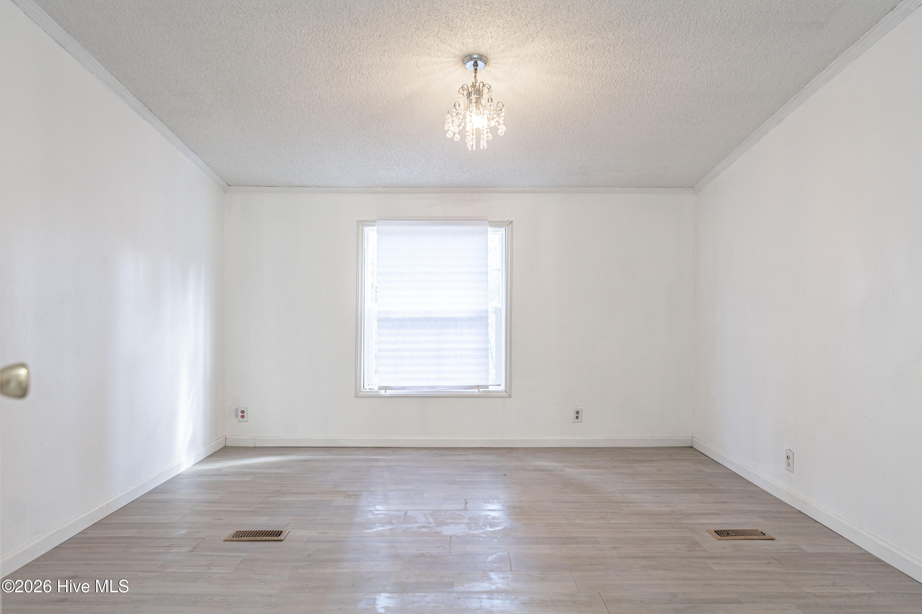 123 Hailey Ames Street