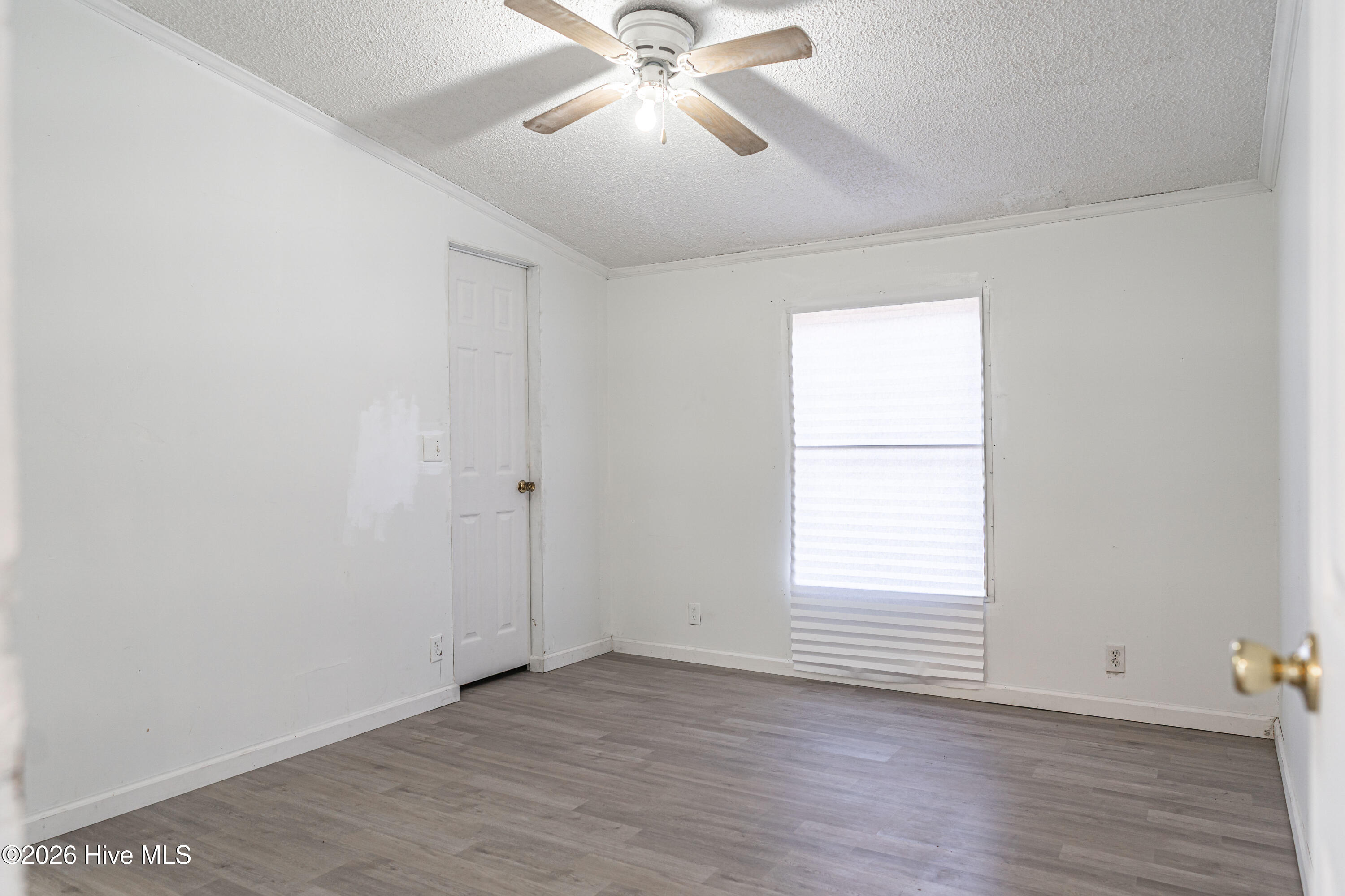 123 Hailey Ames Street