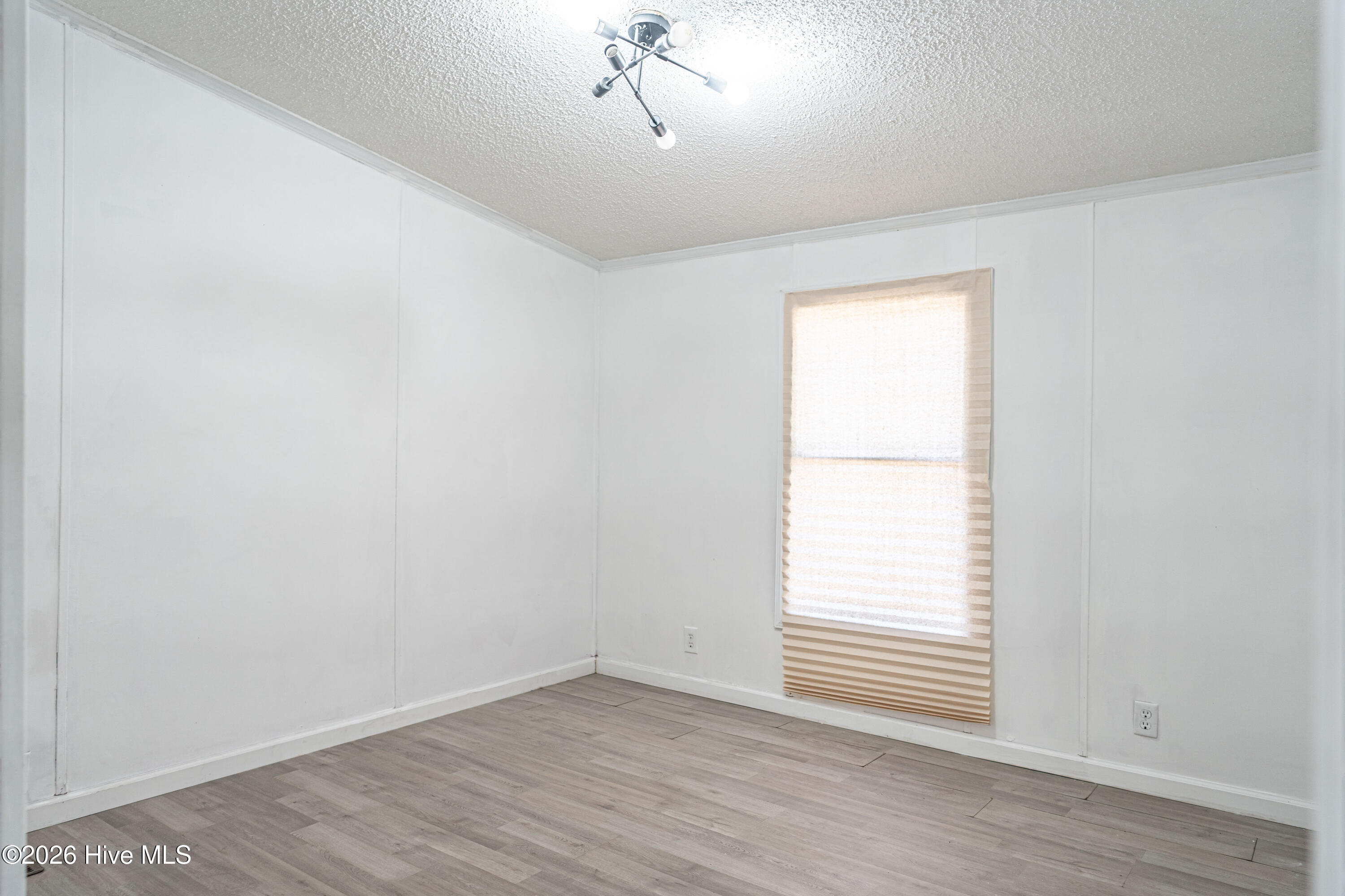 123 Hailey Ames Street