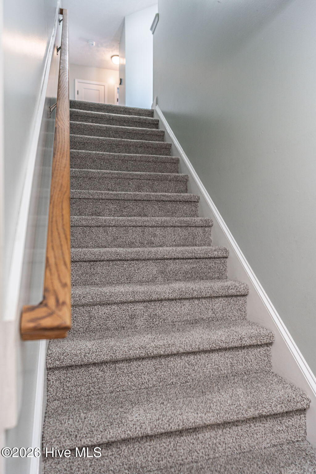 101 Lightwater Court