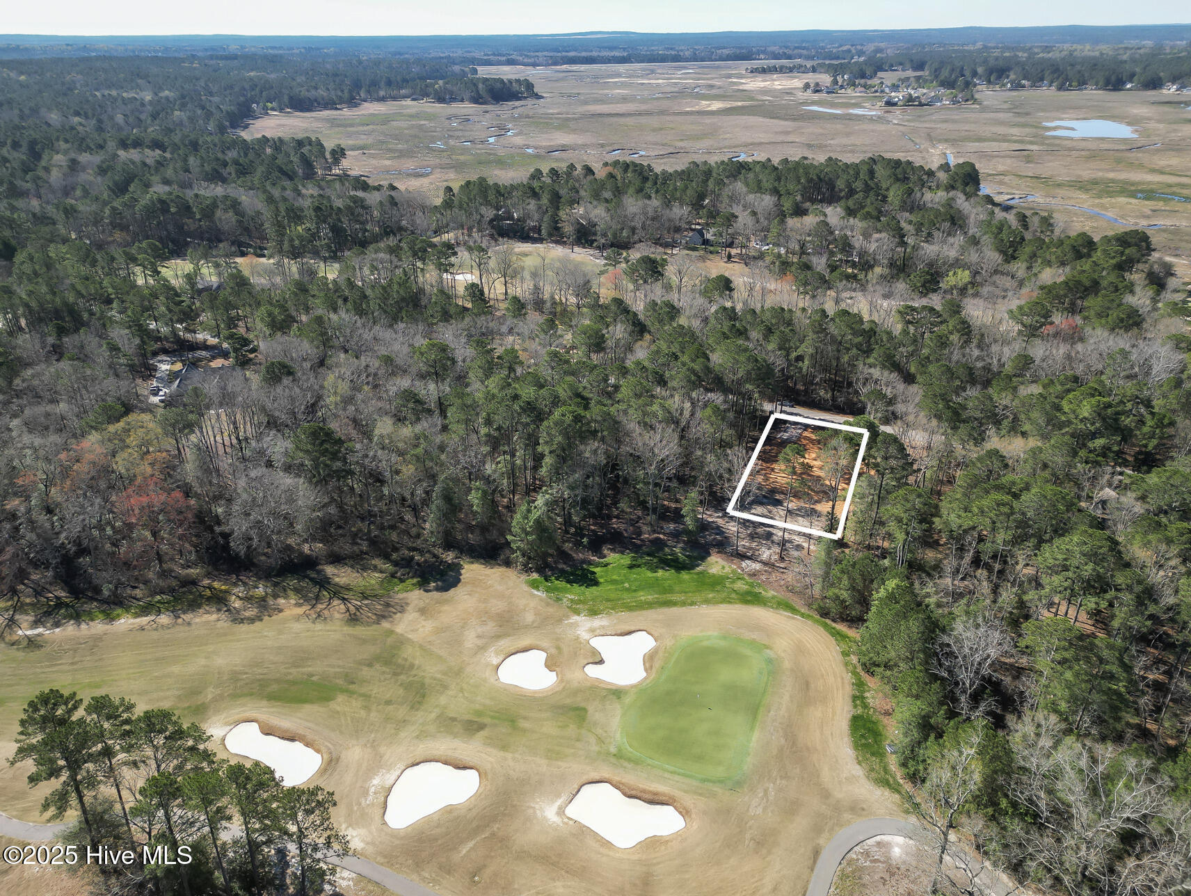 663 Loblolly Drive