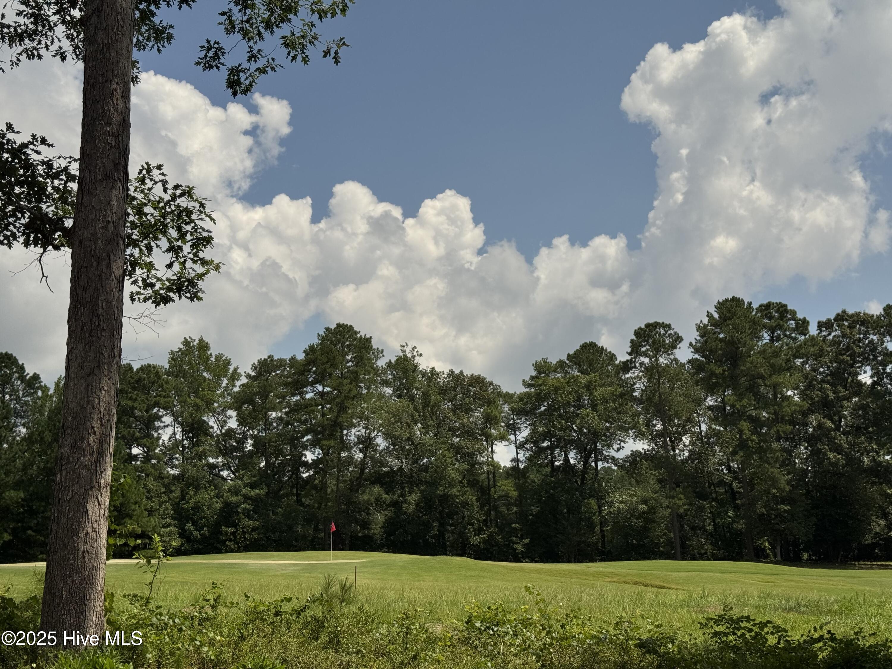 663 Loblolly Drive