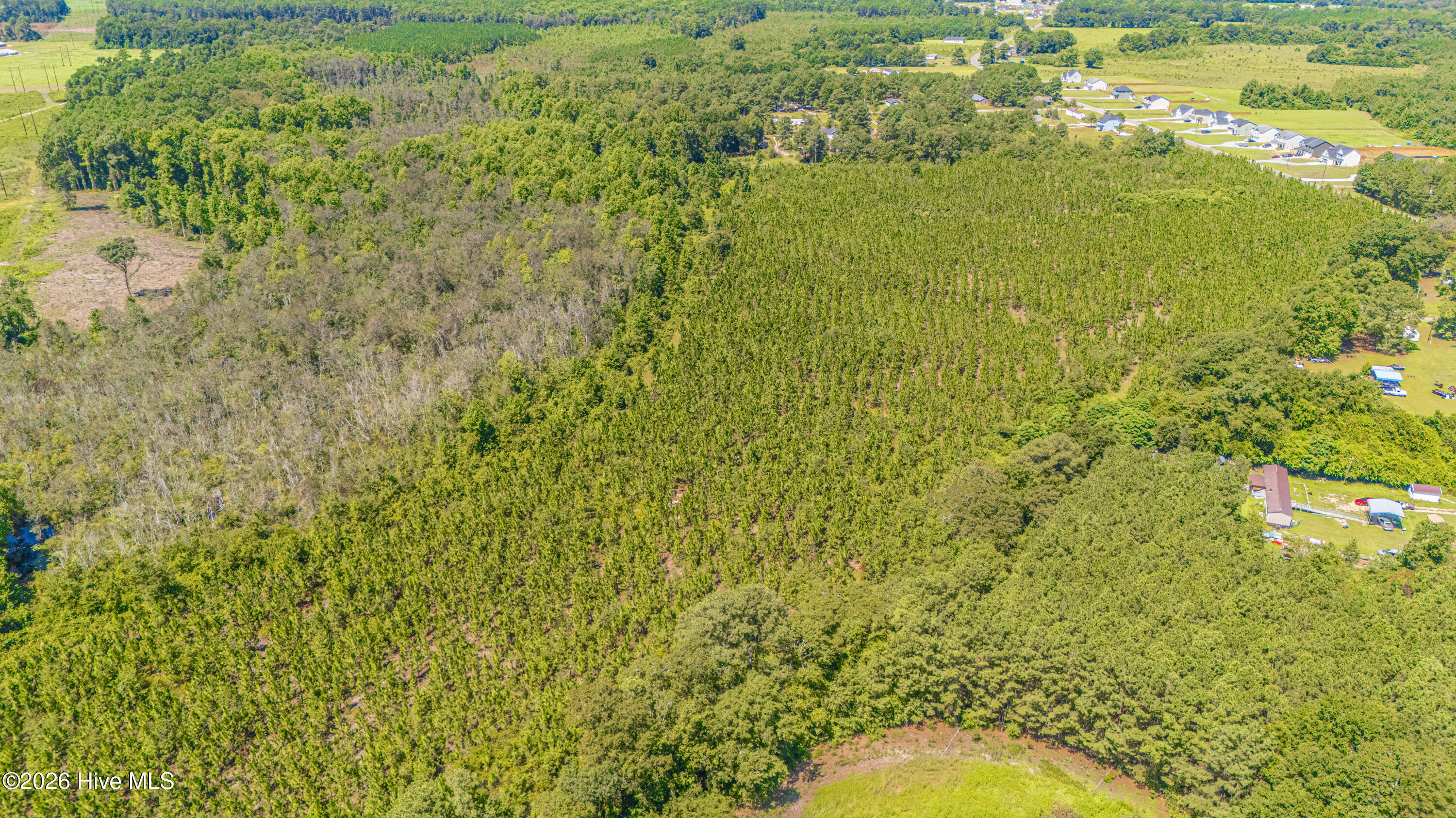 Tbd Blue Springs Road
