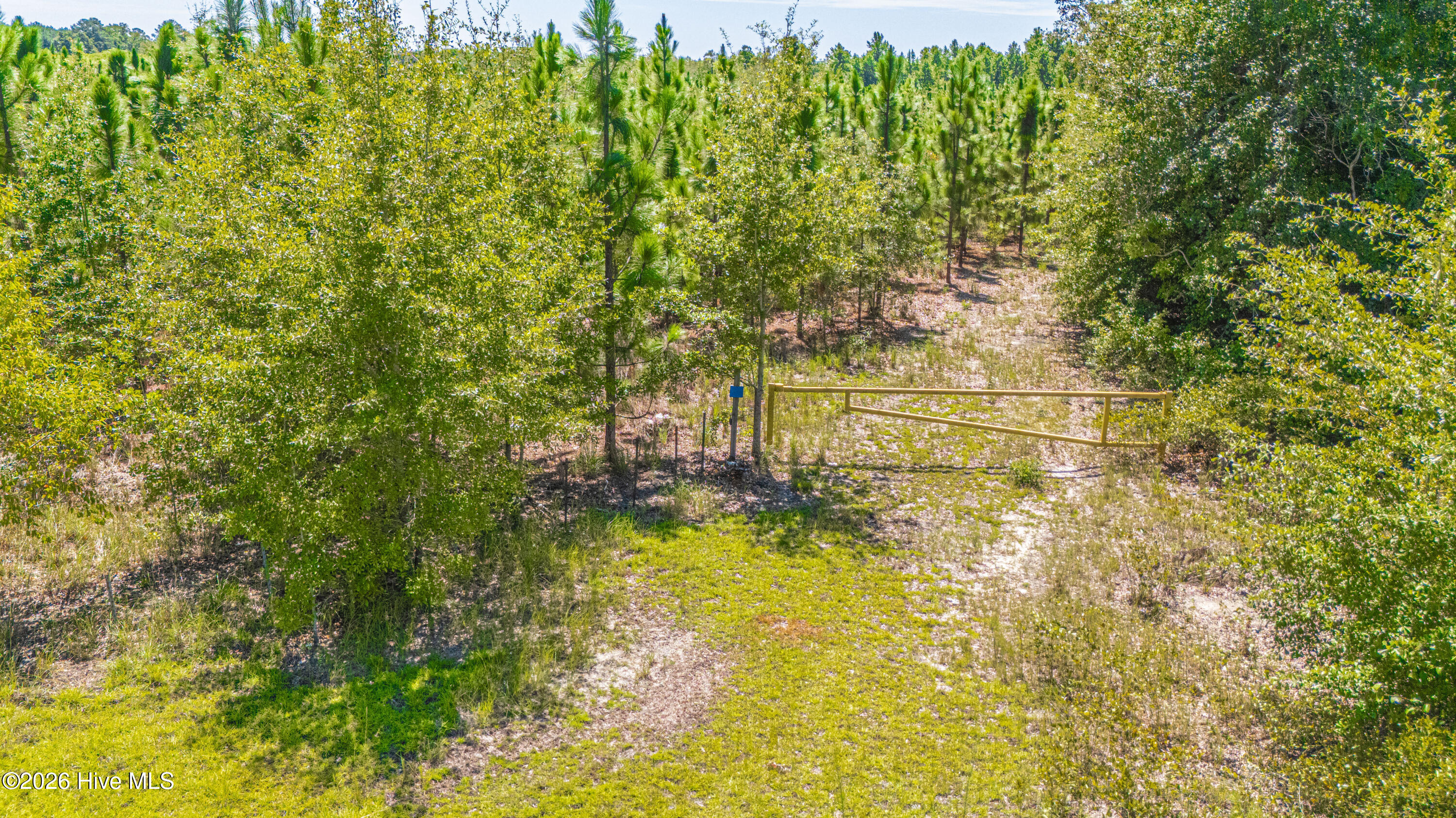 Tbd Blue Springs Road