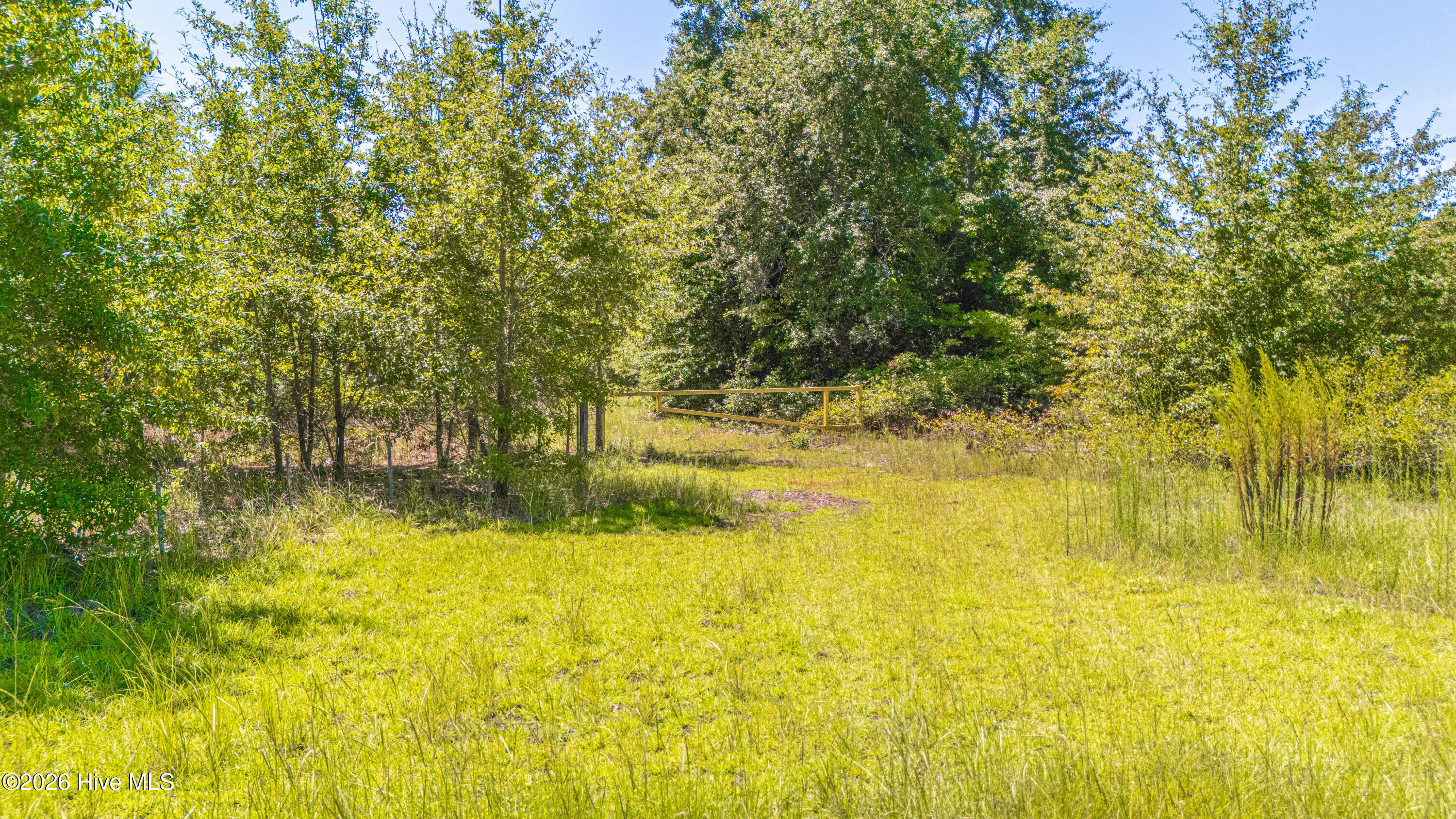 Tbd Blue Springs Road