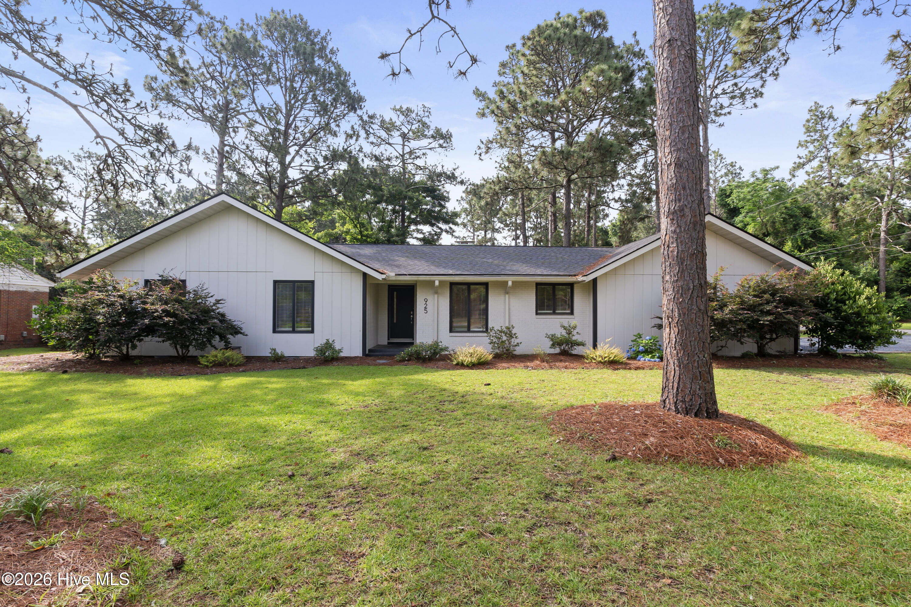 Single-story white home with a broad lawn, mature pines, and a large tree in the foreground.