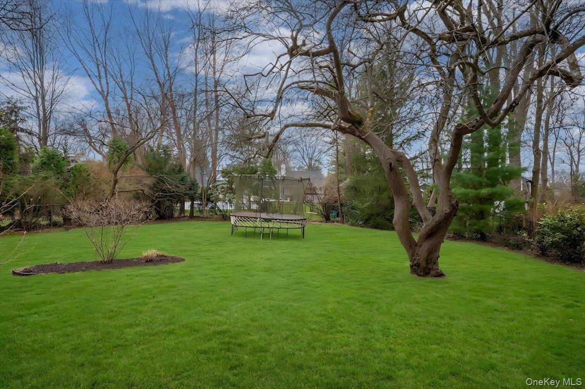 981 Green Meadow Lane