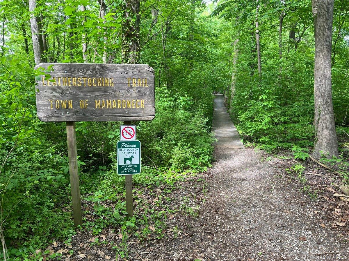 981 Green Meadow Lane