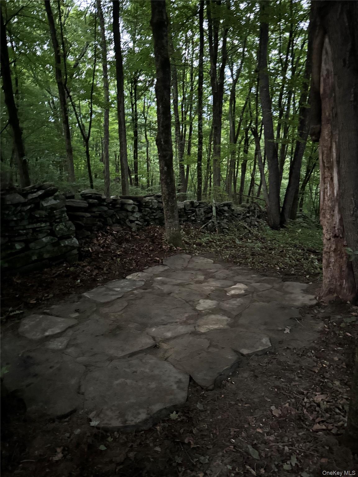 355 Fosler Road
