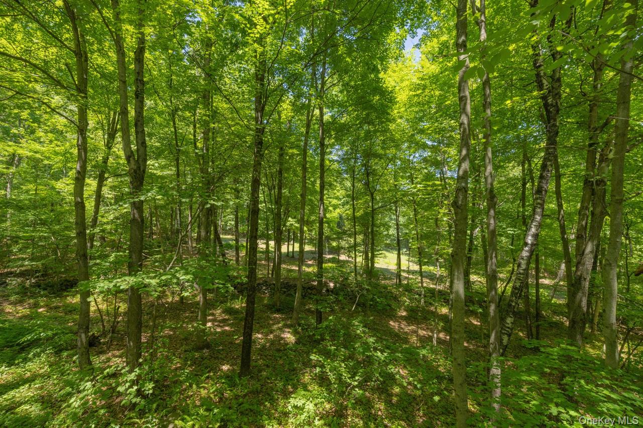 355 Fosler Road
