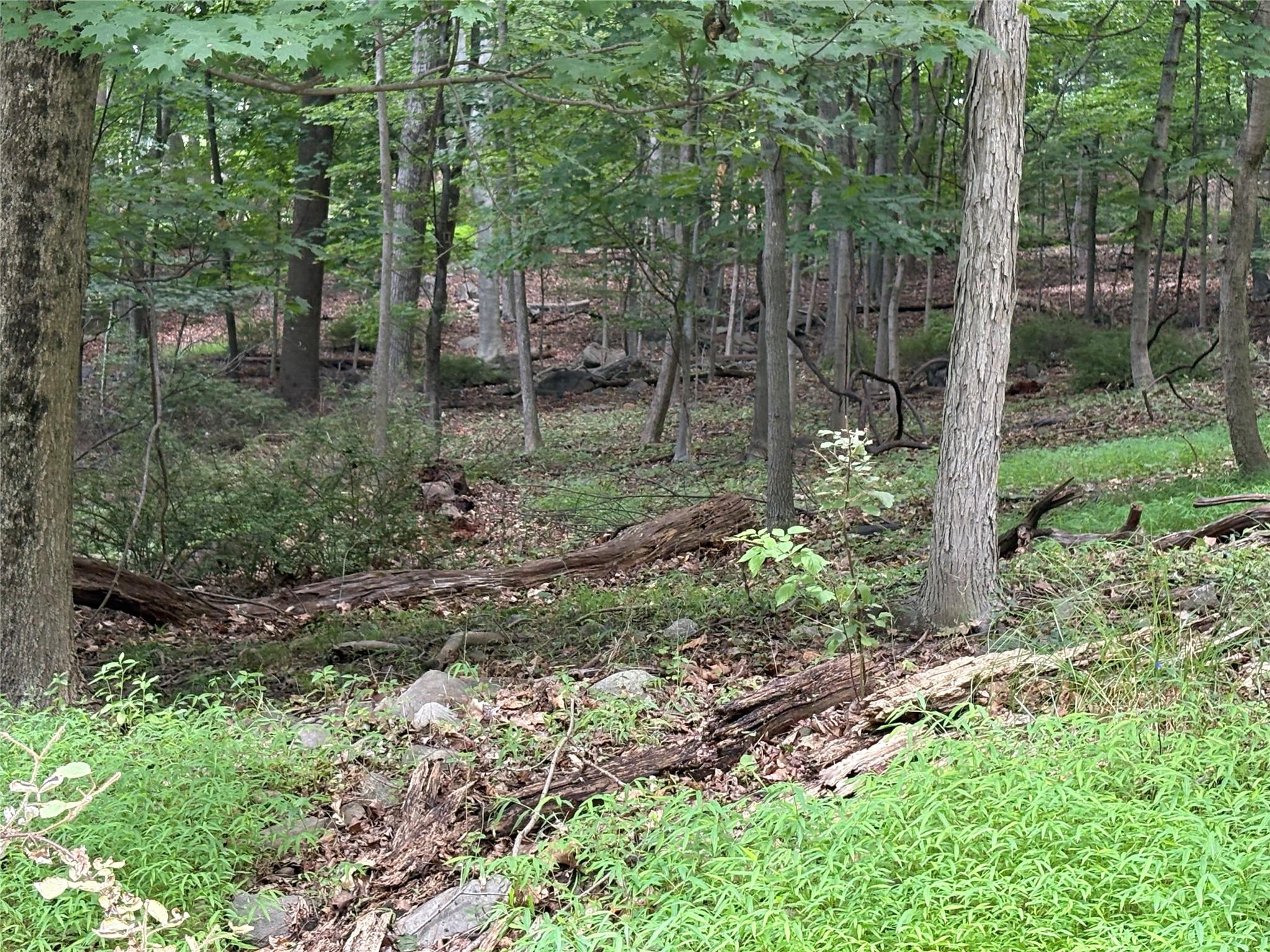 36 Clausland Mountain Road