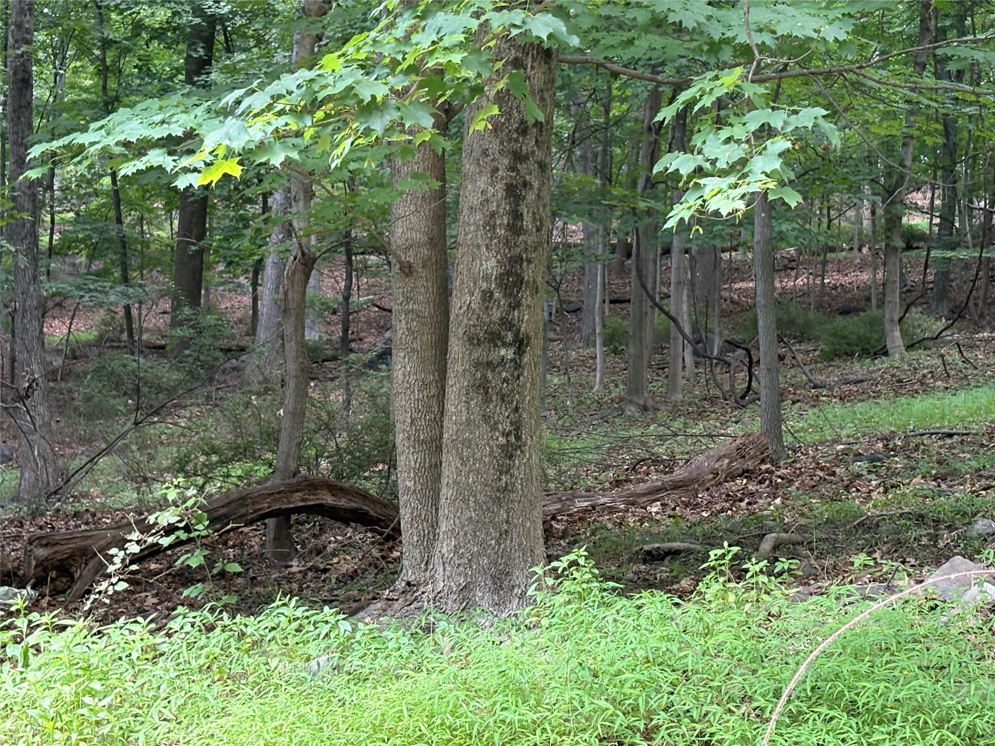 36 Clausland Mountain Road