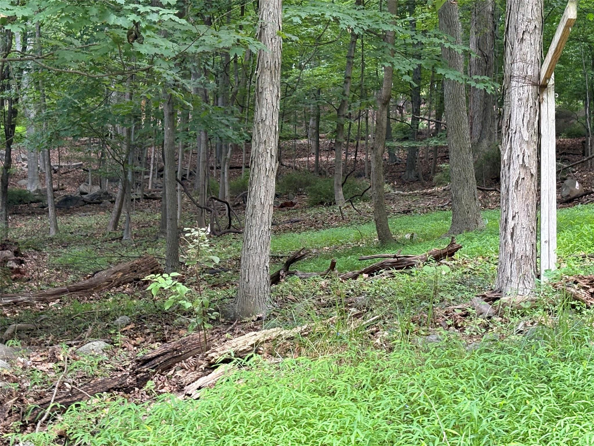 36 Clausland Mountain Road