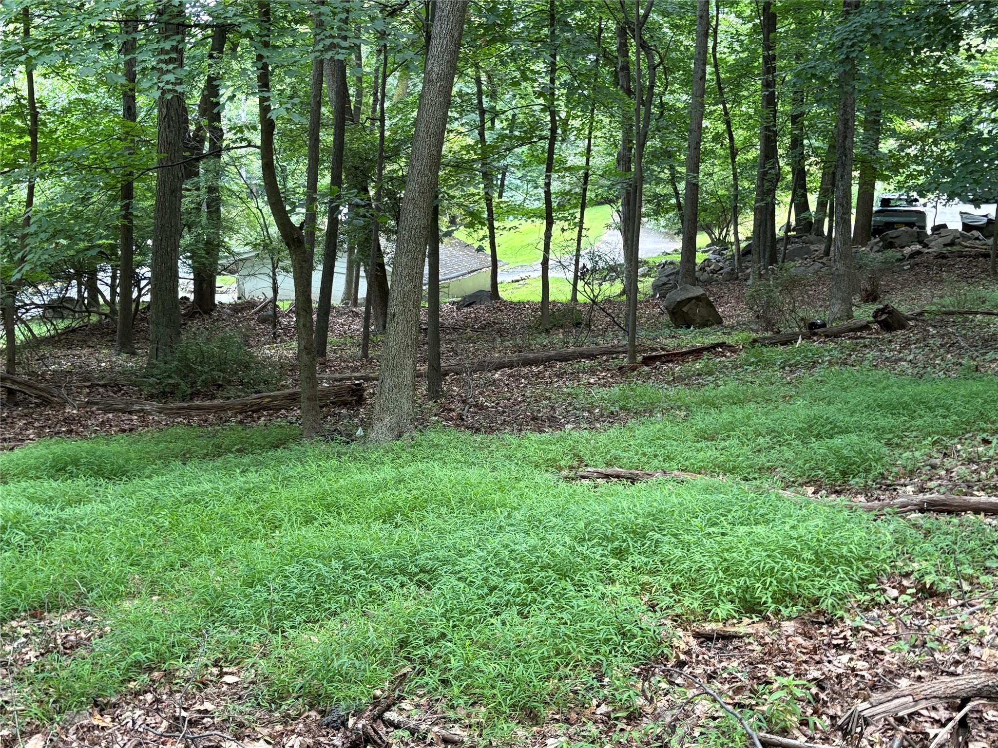 36 Clausland Mountain Road