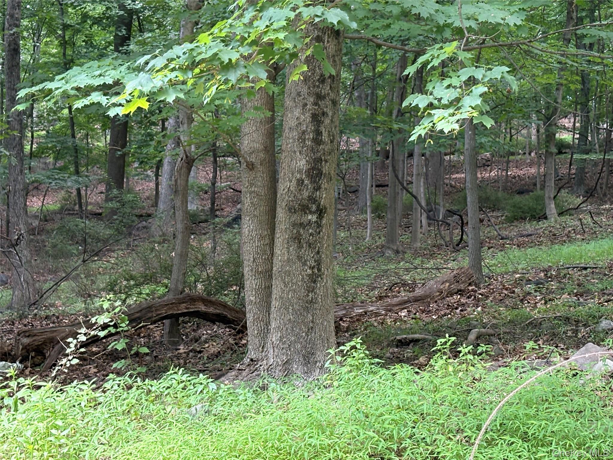 36 Clausland Mountain Road