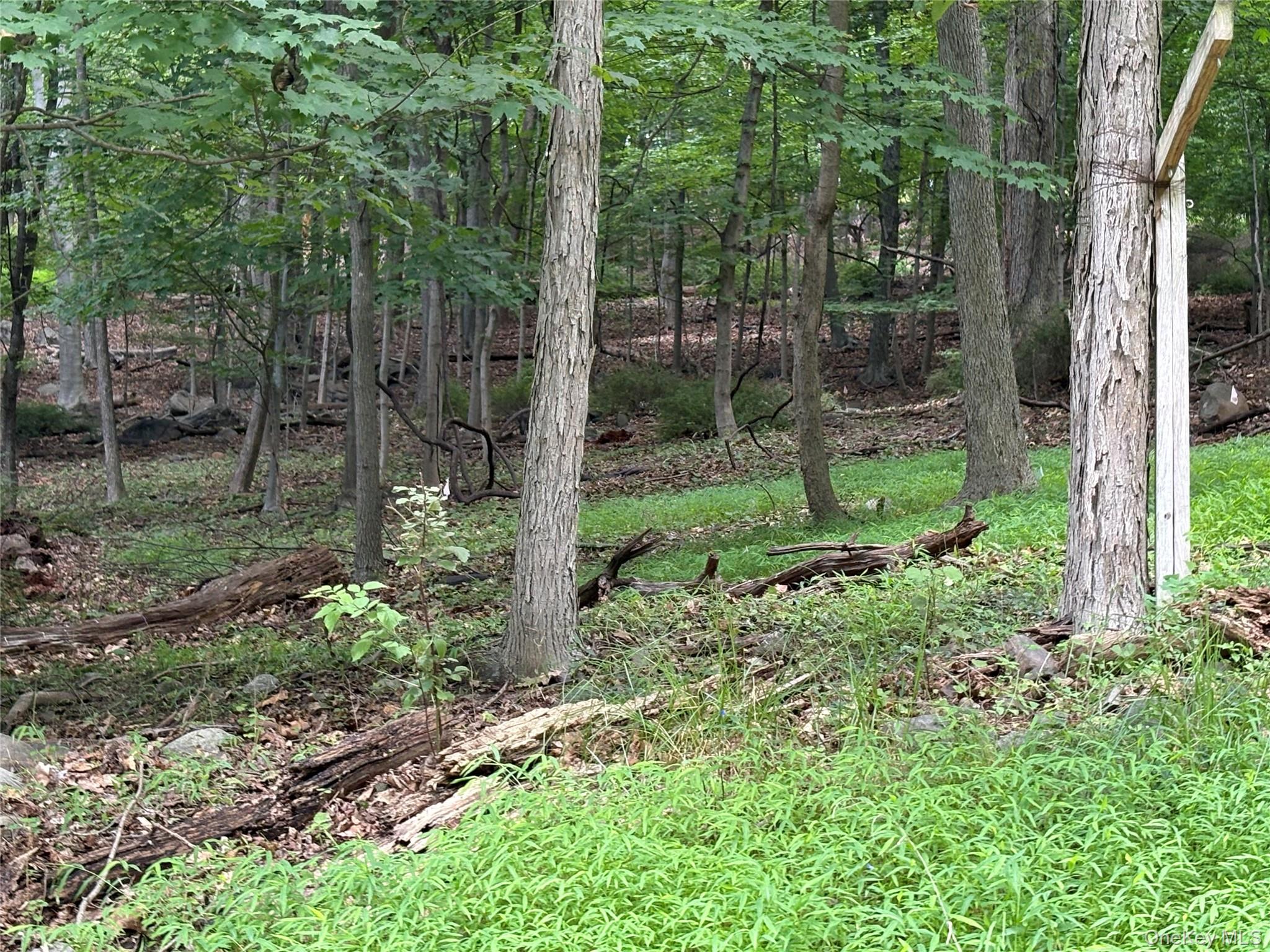 36 Clausland Mountain Road