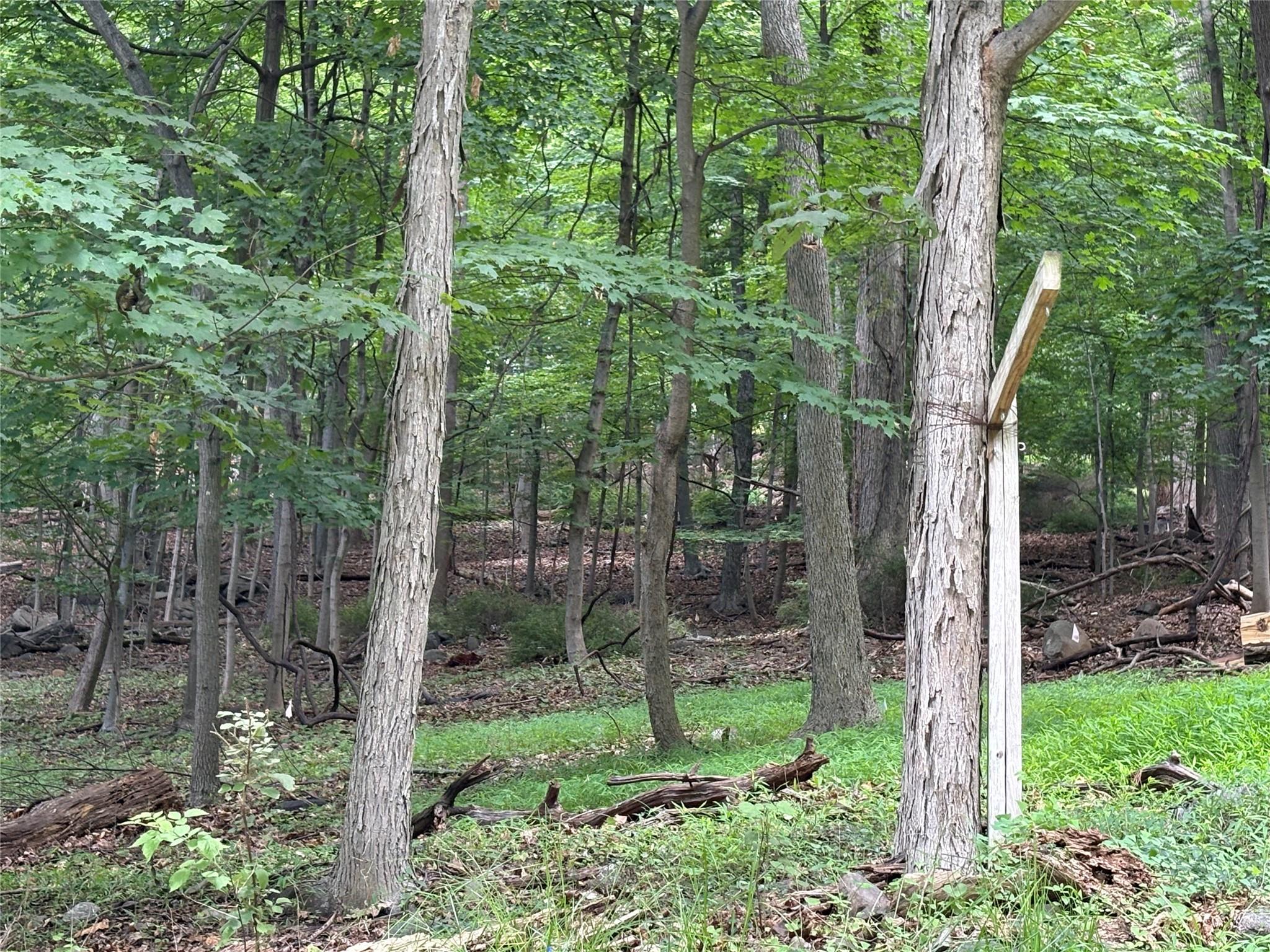 36 Clausland Mountain Road