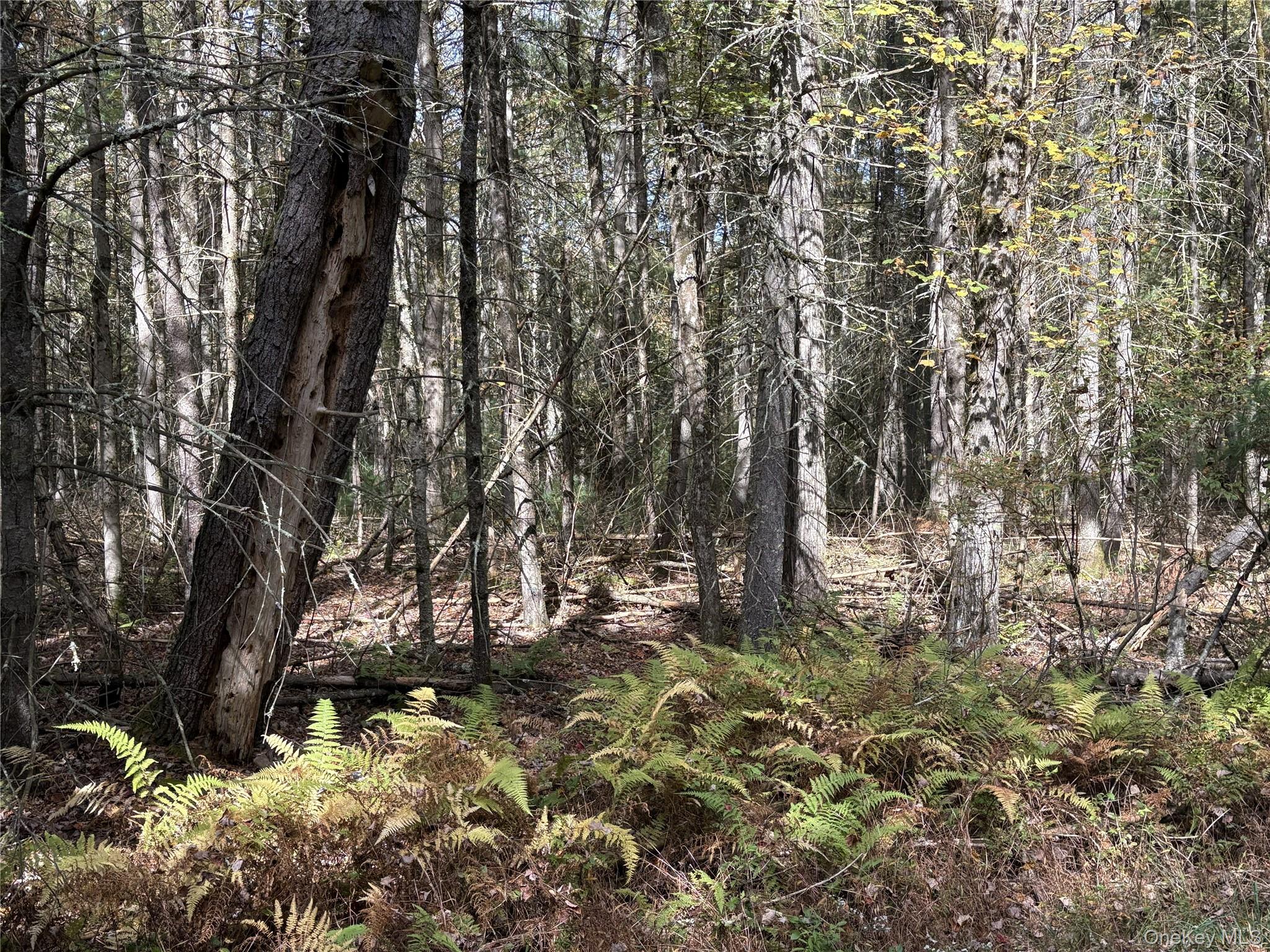 17 Lot 17 Desmond Crossing