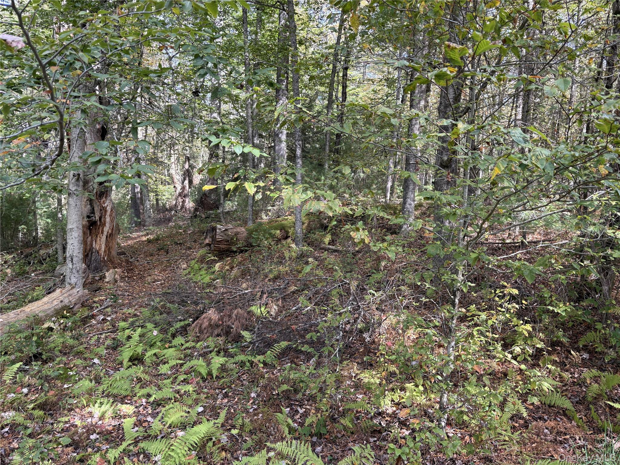 17 Lot 17 Desmond Crossing