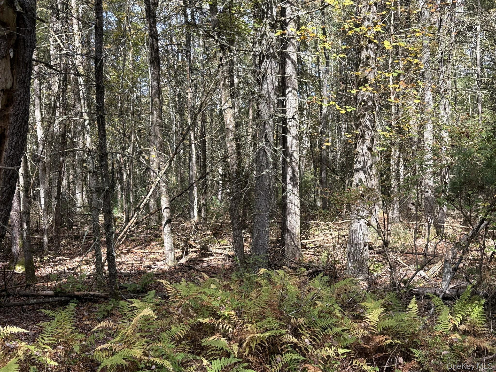 17 Lot 17 Desmond Crossing