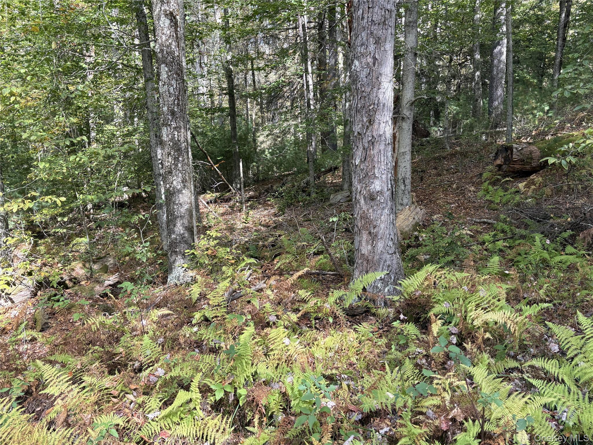 17 Lot 17 Desmond Crossing