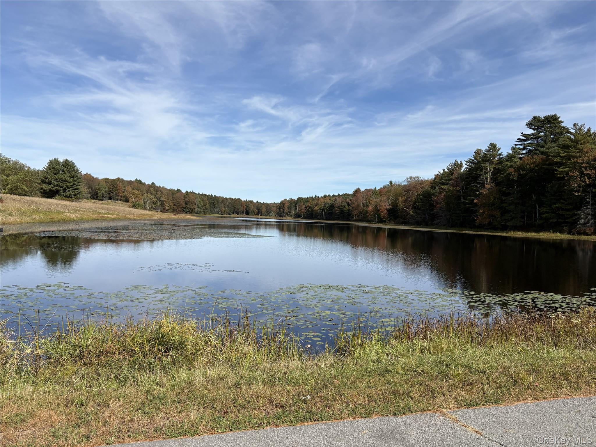 17 Lot 17 Desmond Crossing