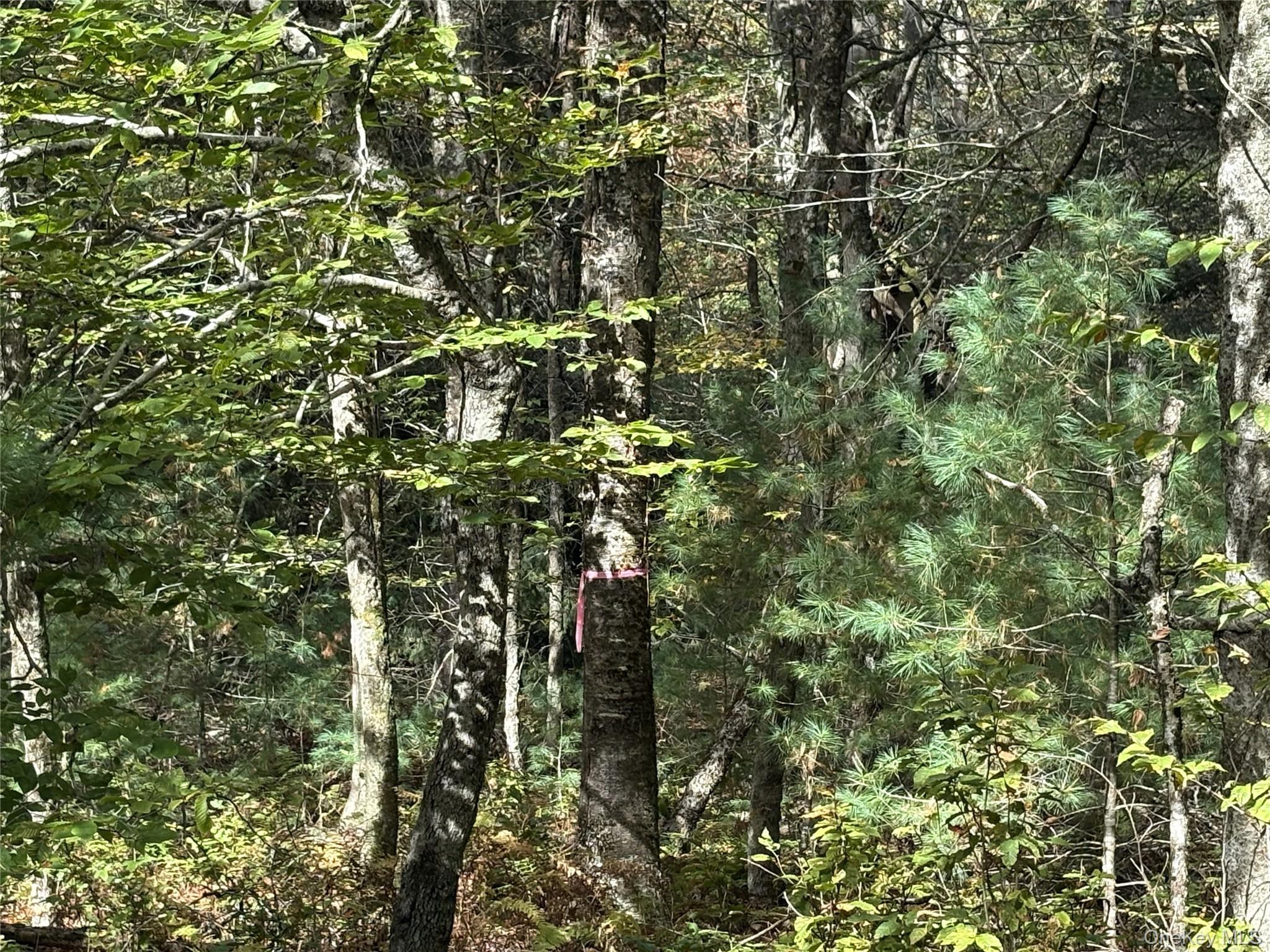 17 Lot 17 Desmond Crossing