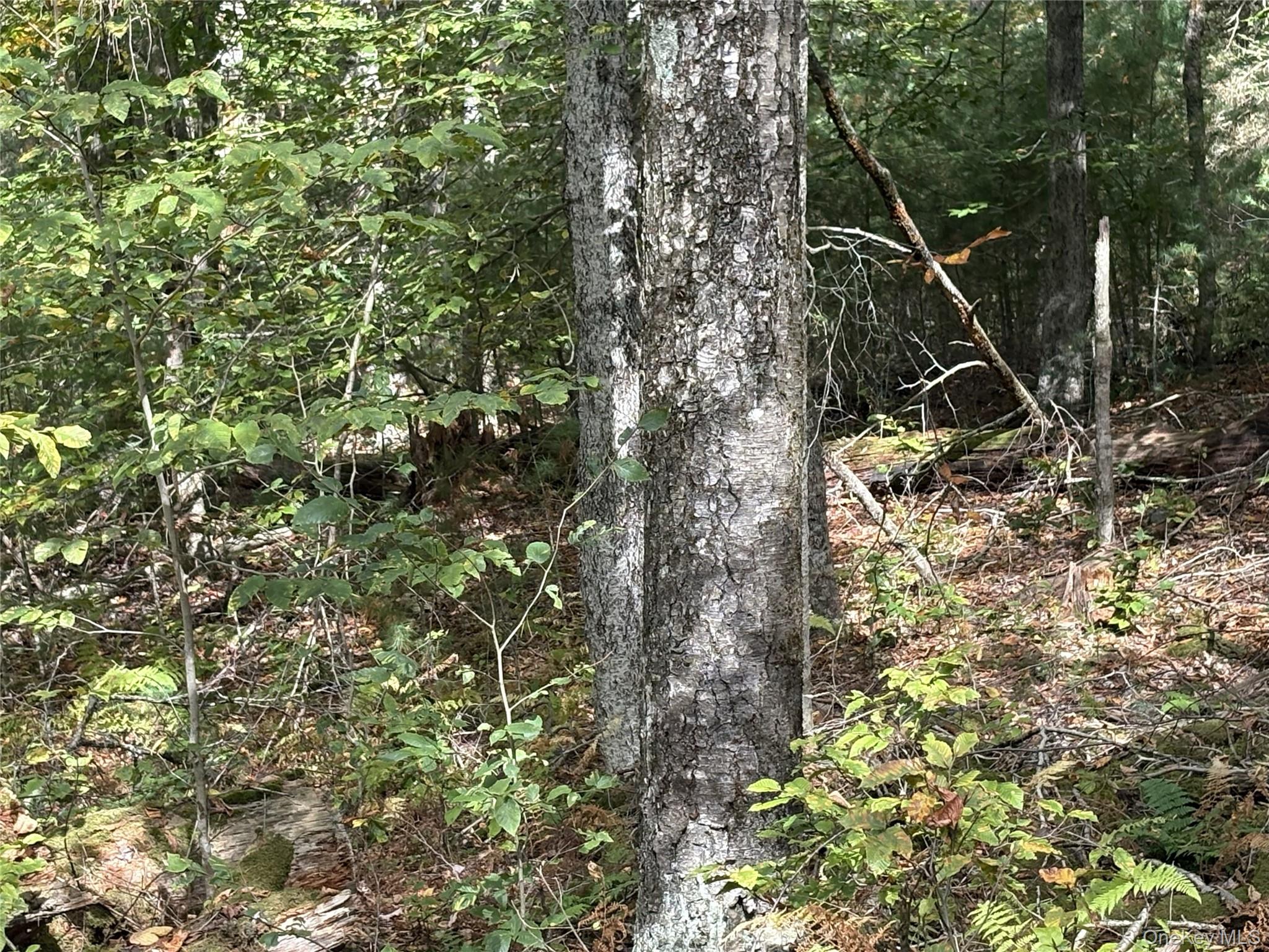 17 Lot 17 Desmond Crossing